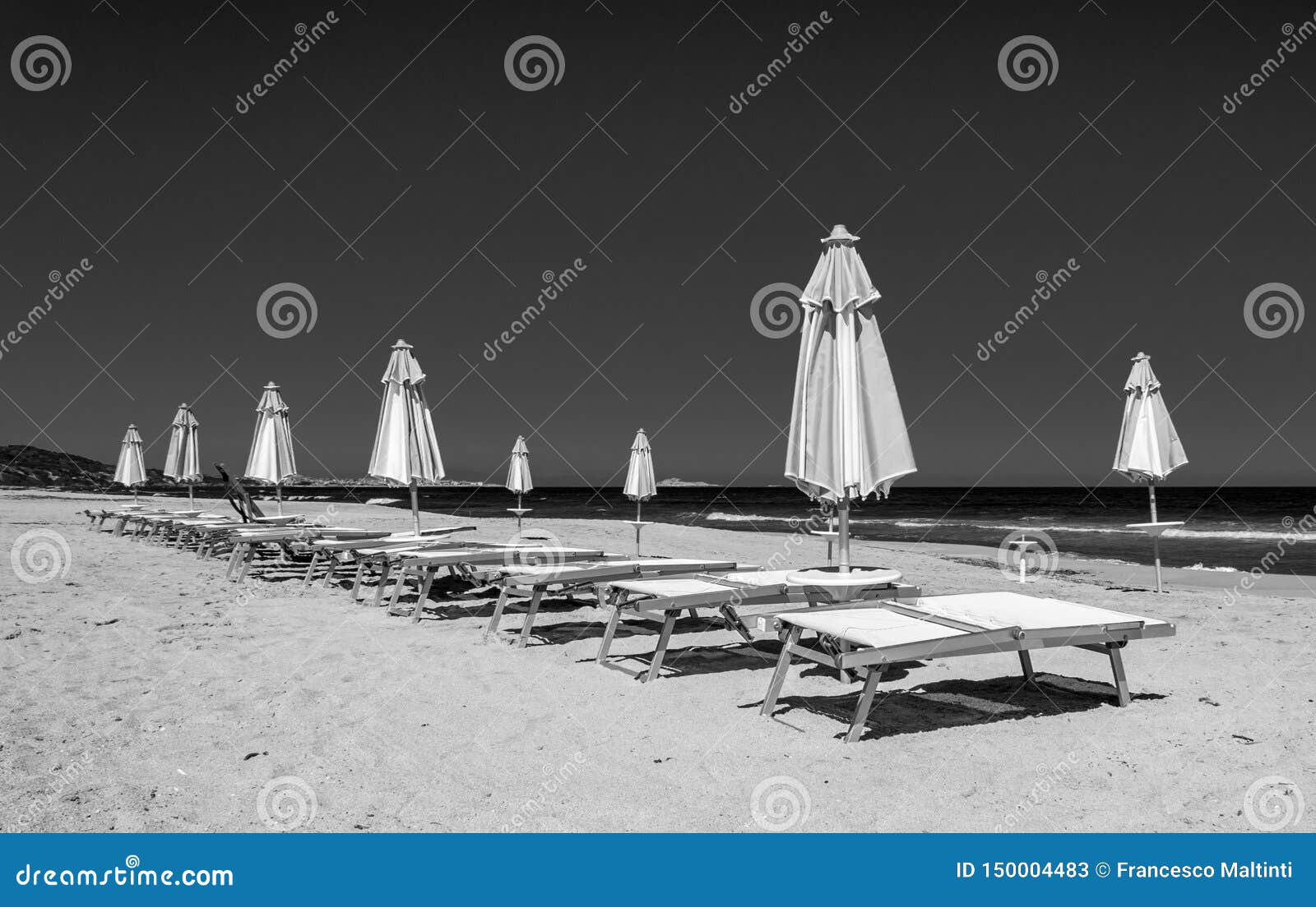 Black And White Rows Of Umbrellas And Deck Chairs On The Beach