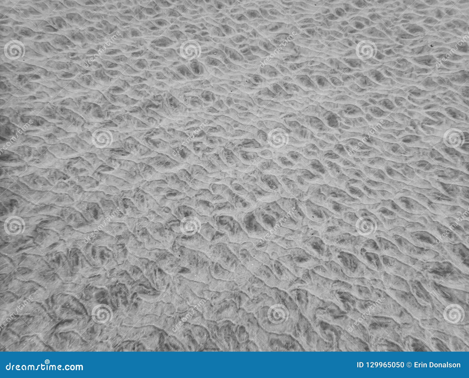 Black And White Underwater Sandy Ocean Floor Textures And Patter