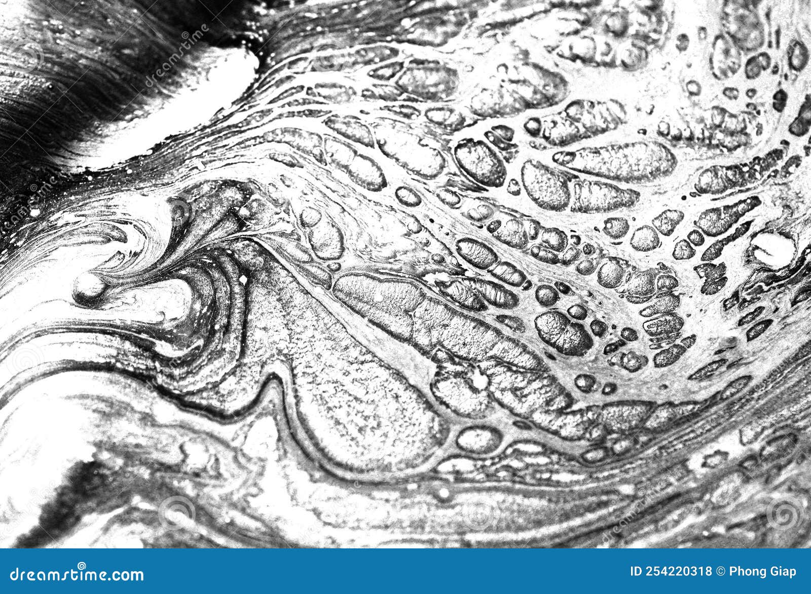 Black and White Silver Abstract Hand Painted Background, Marble Texture