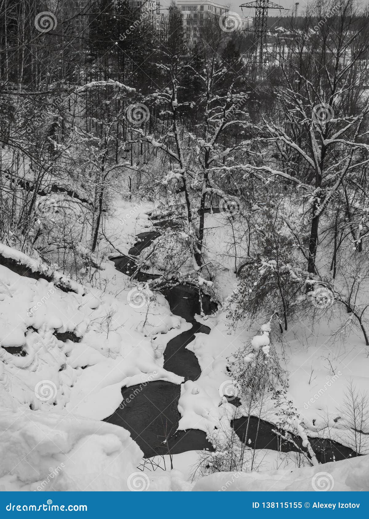 Black and White Sketches from the Snowy Winter Forest in Russia Stock ...