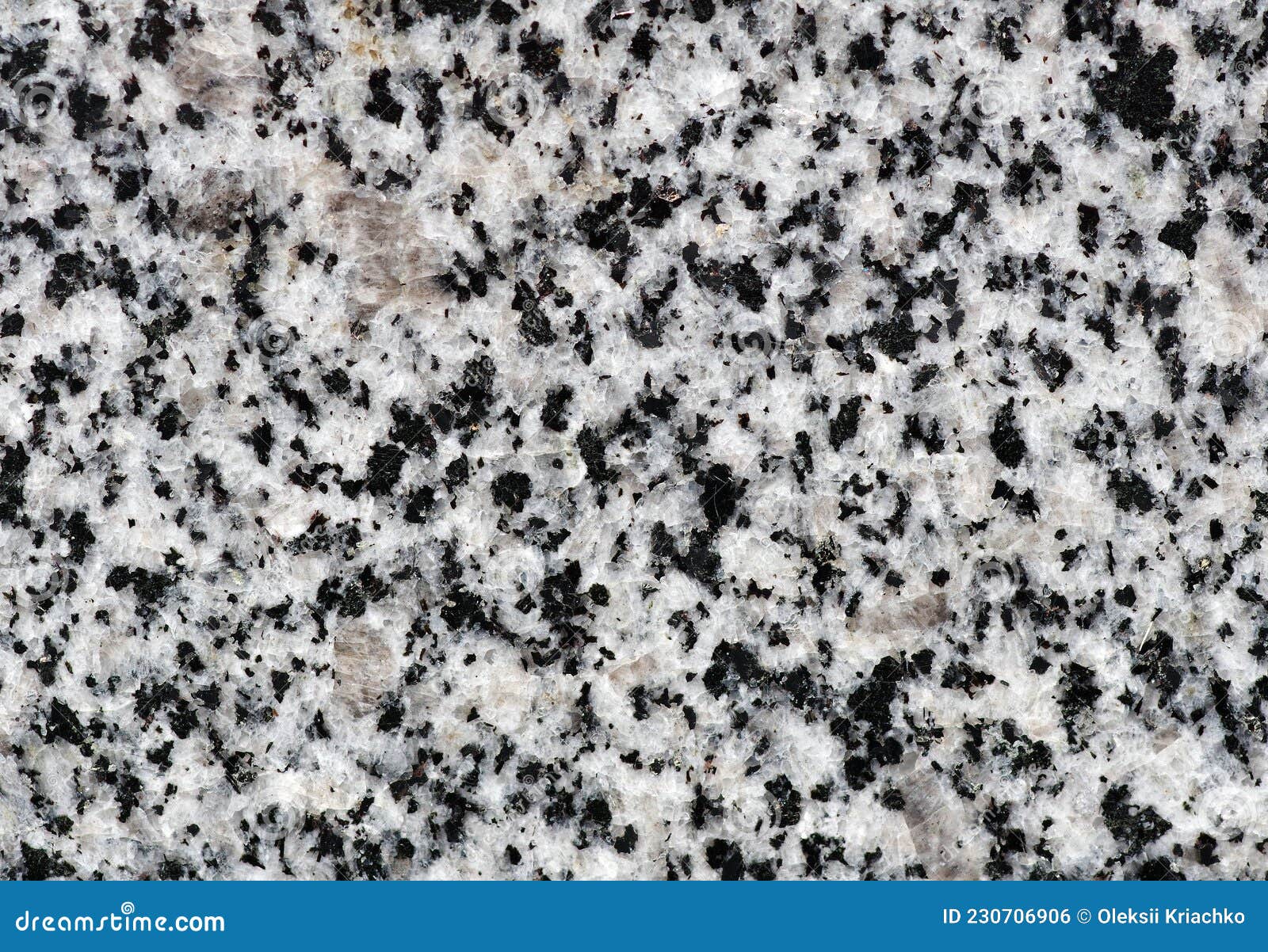 Black And White Spotted Granite Texture Stock Photo
