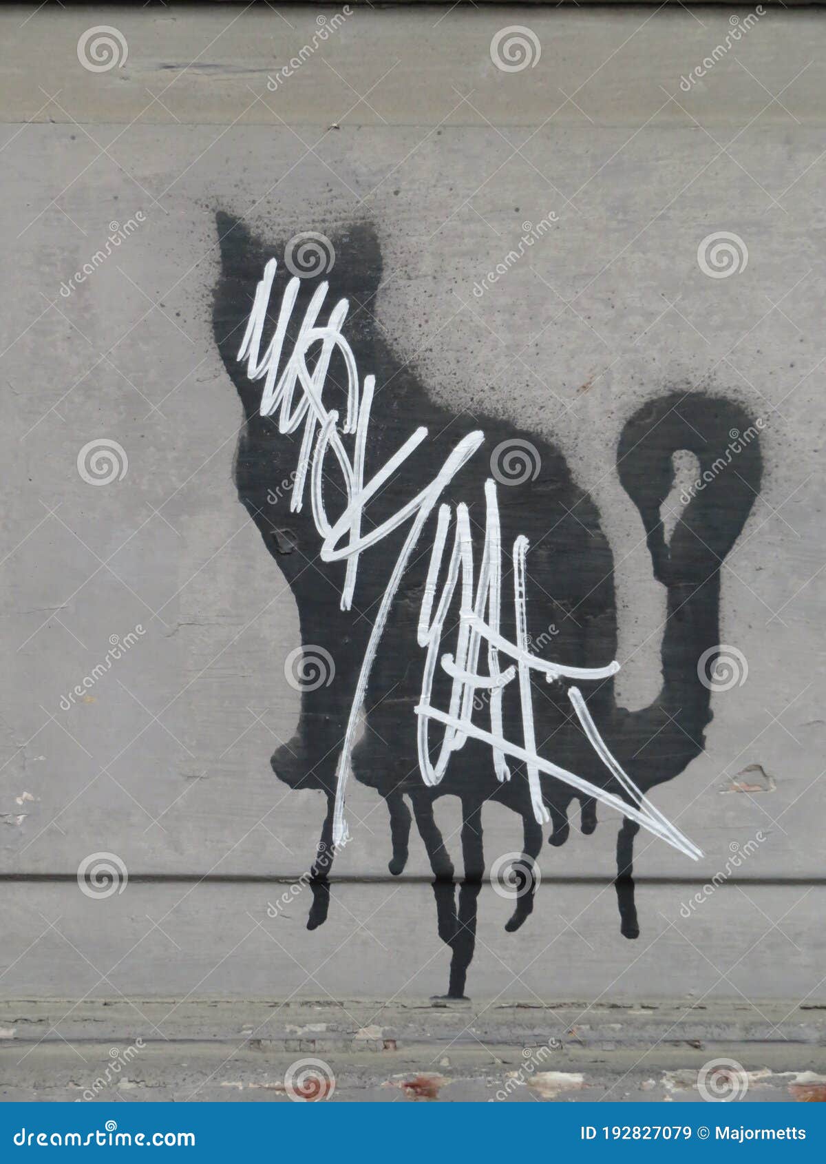 Black and White Stencil Graffiti Cat on Cement Stock Image Image of