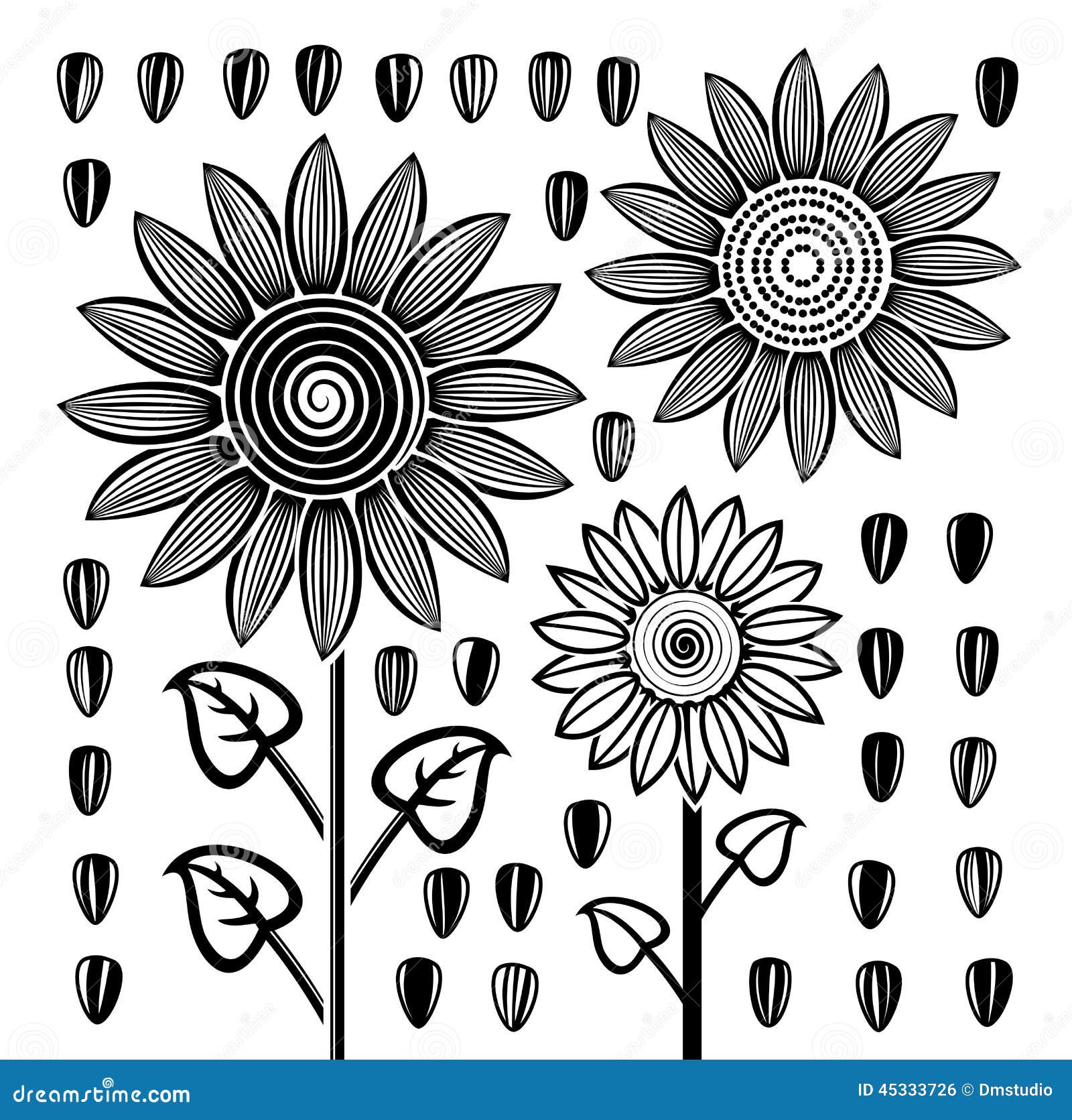 Vector Black And White Sunflowers And Seeds 45333726