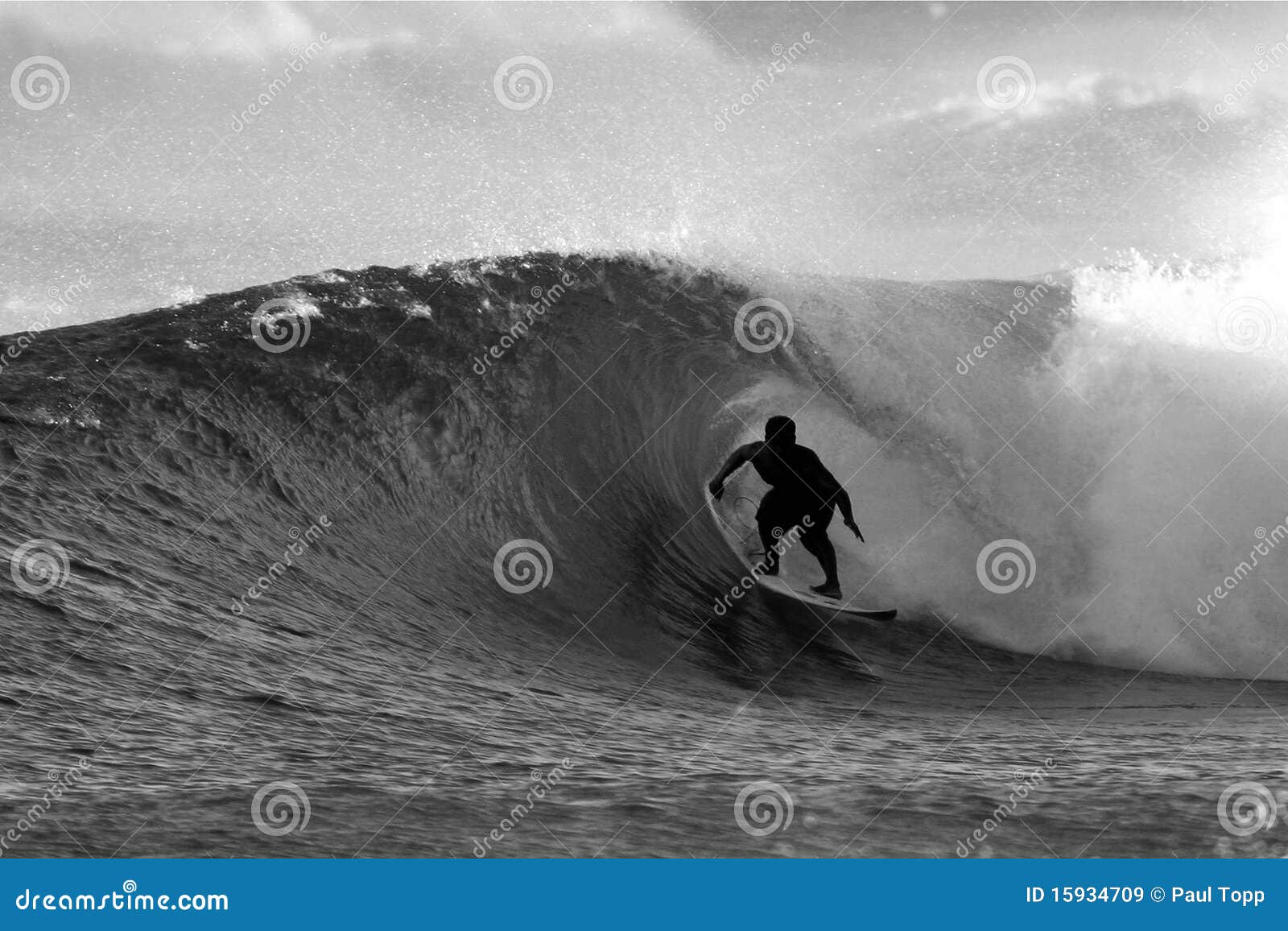 black and white surfer surfing the tube
