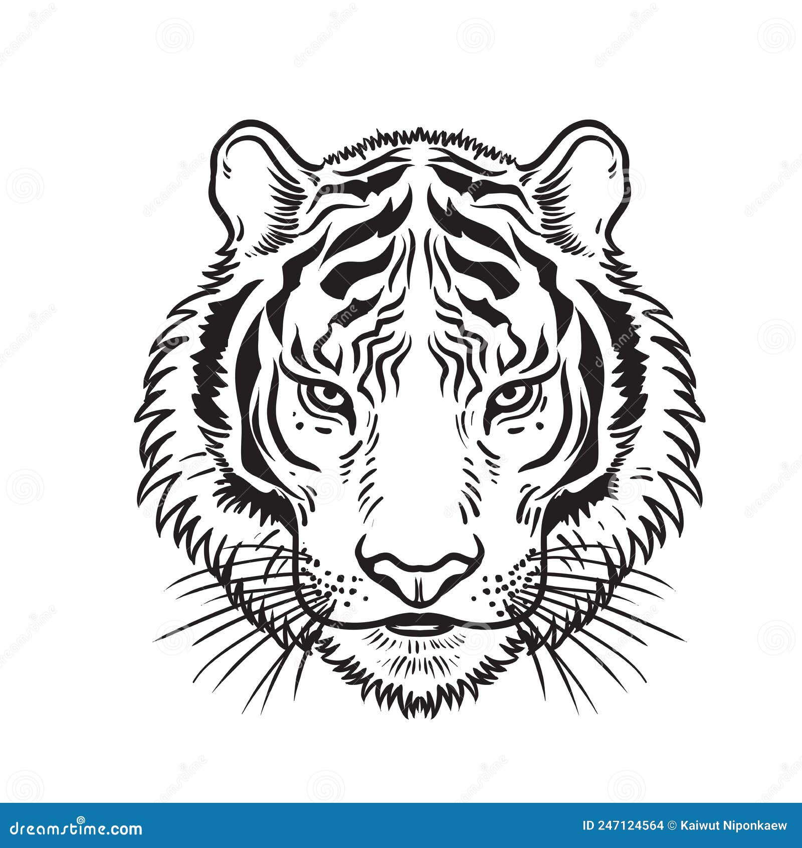 Vector Tiger Head Graphic Illustration Stock Vector - Illustration of ...