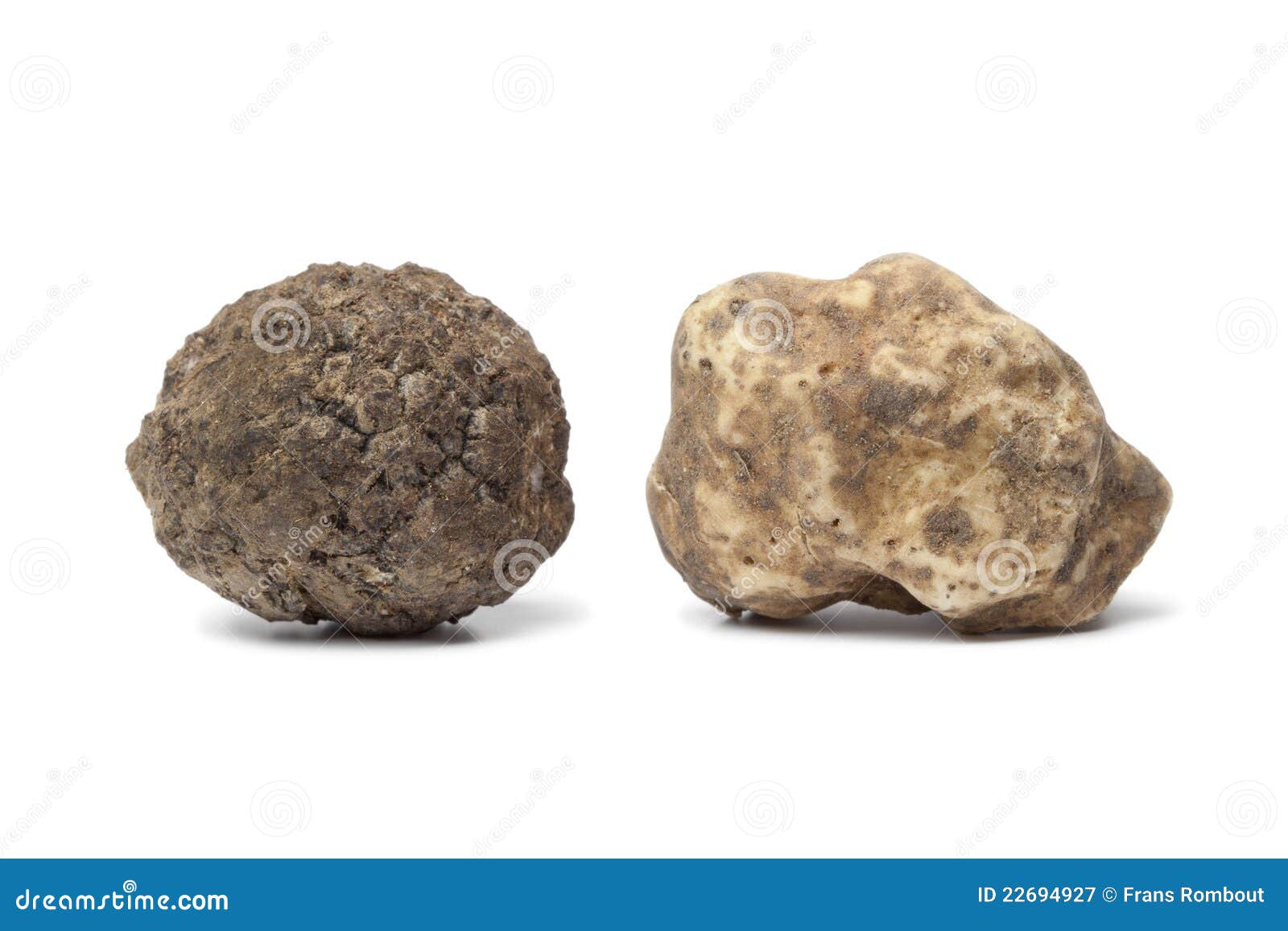 Black and white truffle stock image. Image of flavor 22694927
