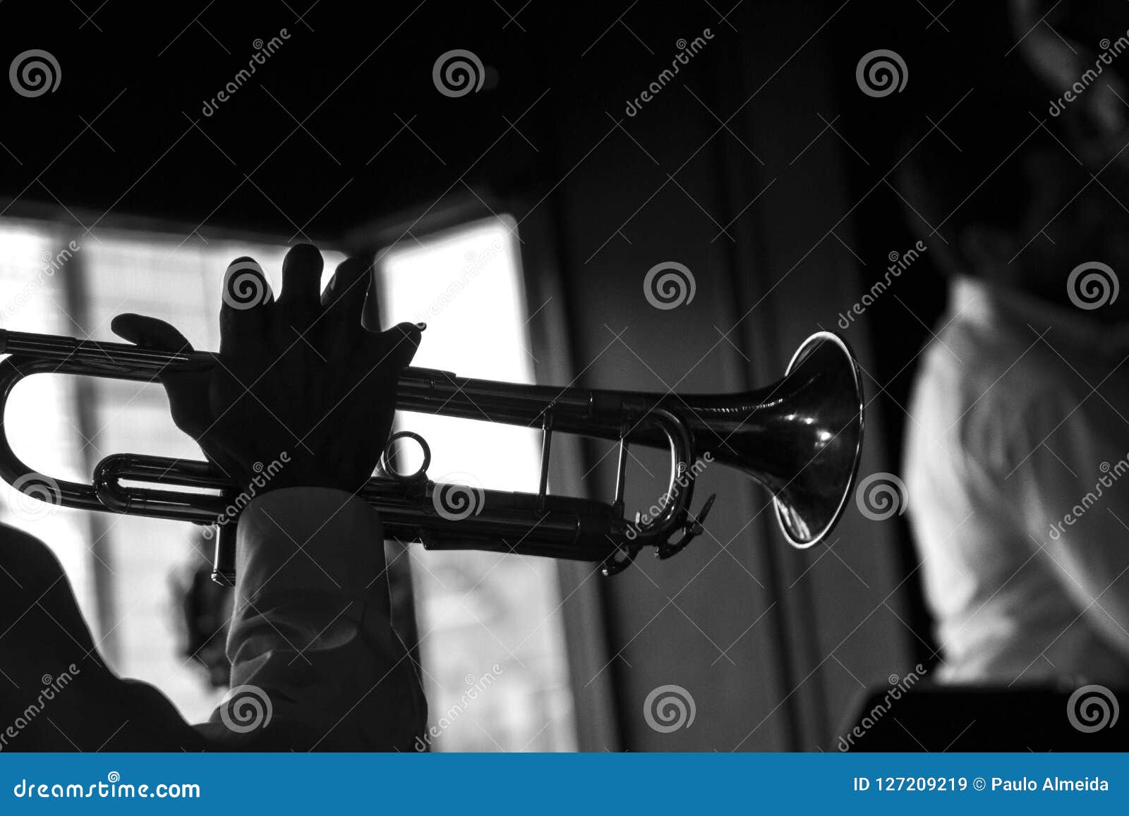 Black and White Trumpet Player Stock Image Image of latte, fall