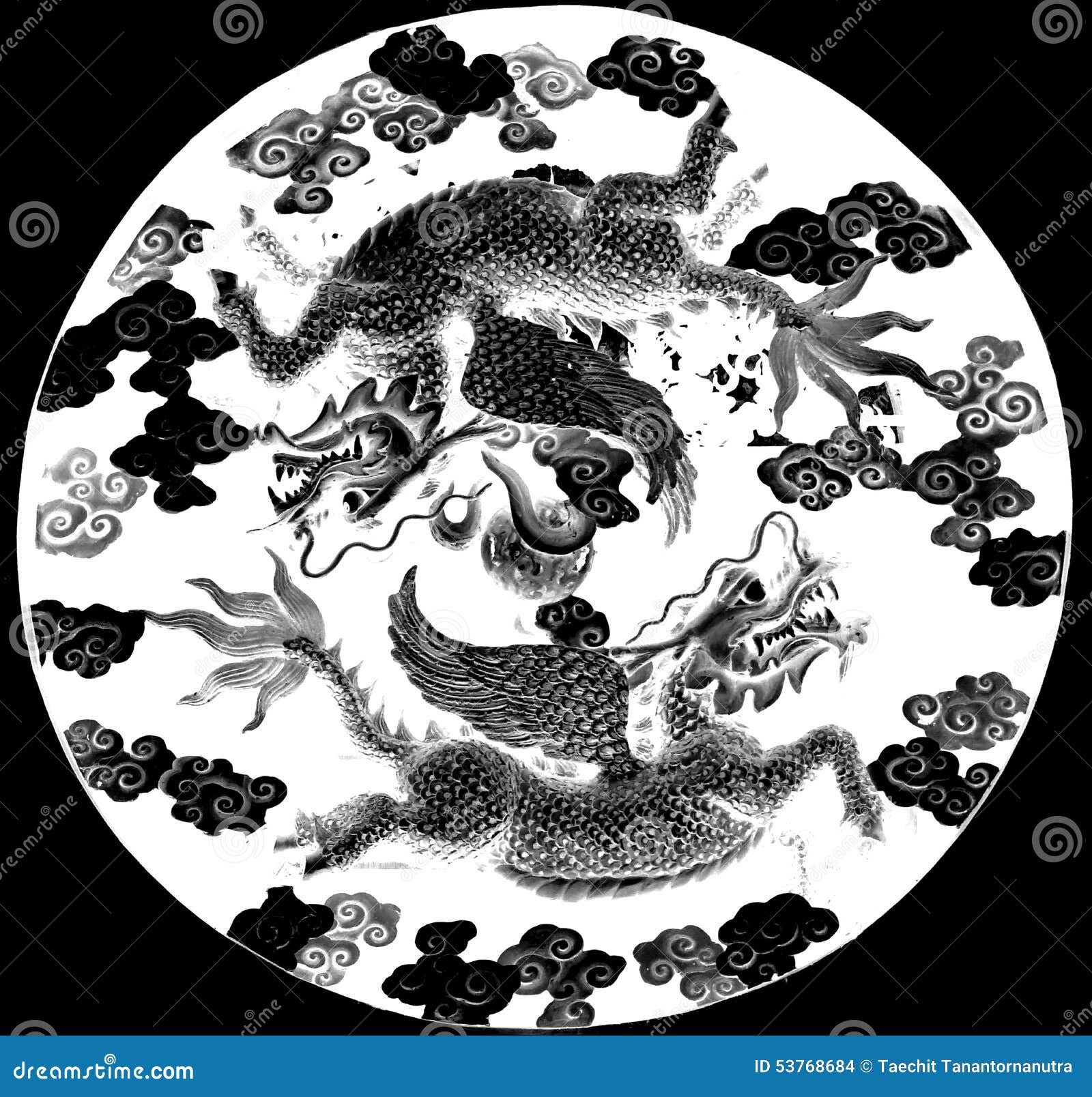 Black and White Twin Dragon Fly Stock Photo Image of design, chinese