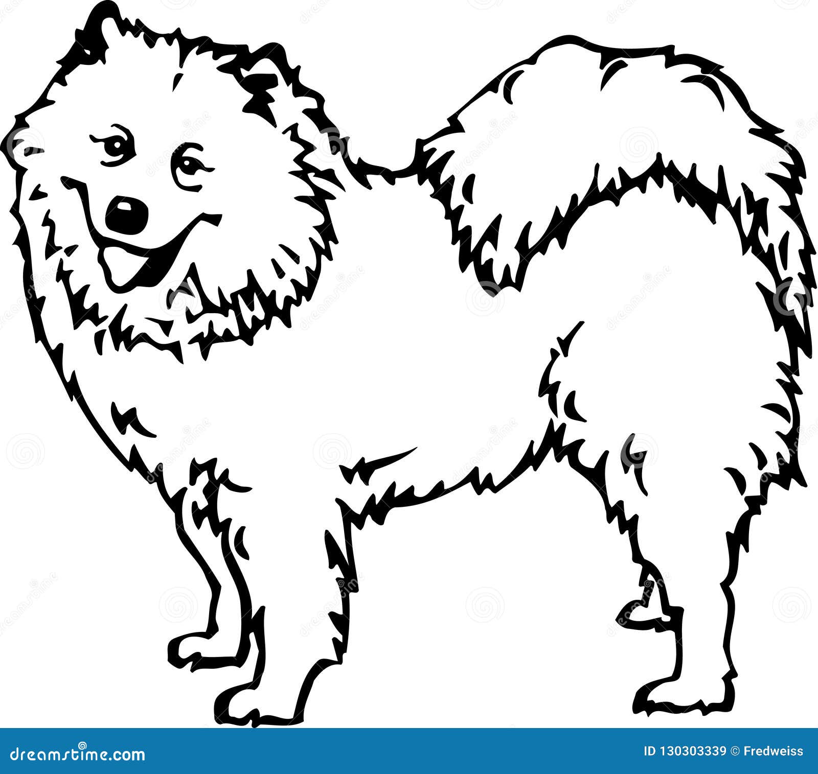 Black And White Samoyed Illustration Stock Vector Illustration Of Dogs Canine 130303339