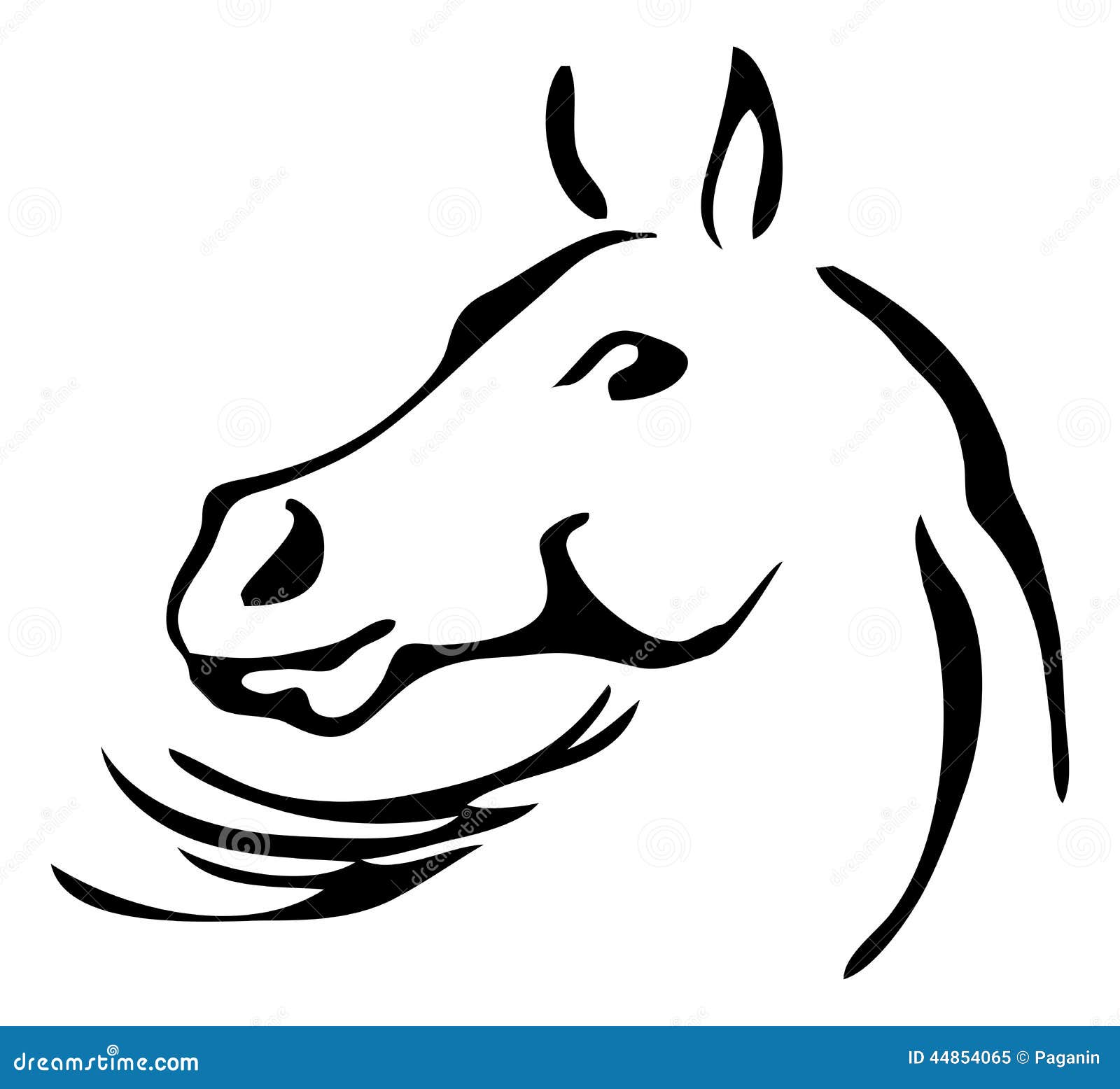 Black and White Vector Outlines of Horse Stock Vector Illustration of