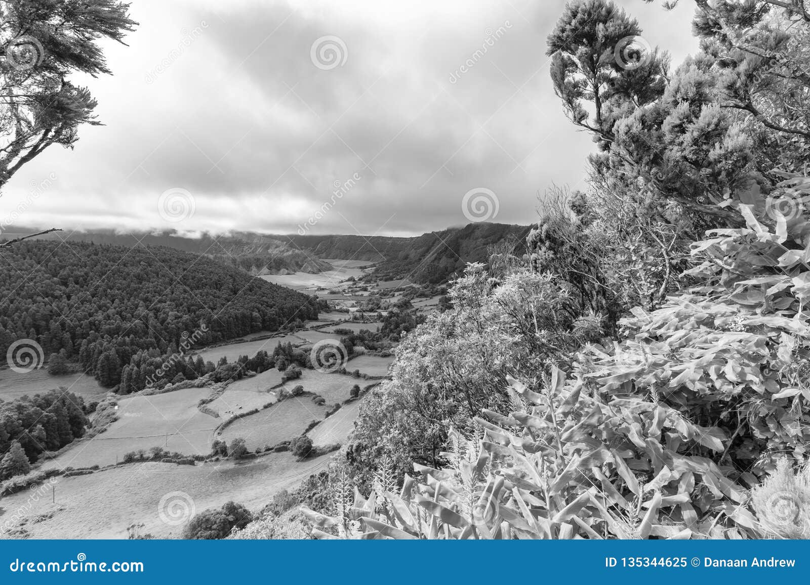 Alferes Caldera Black and White. Black and white view of farmland and pastures in the Sete Cidades caldera in the Azores