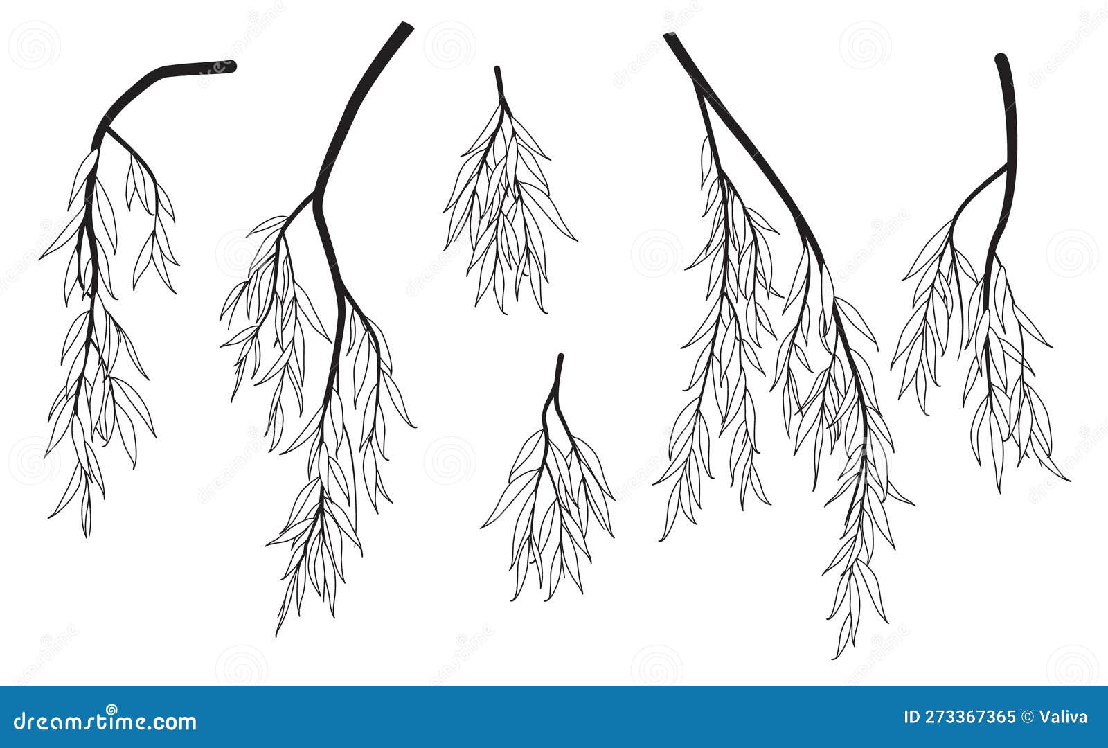Black and White Weeping Willow Branches Stock Vector Illustration of shrub, simple 273367365