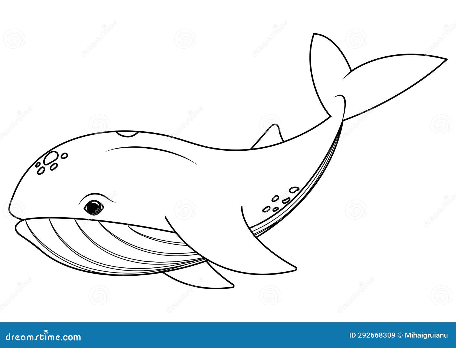 Black and White Whale Cartoon Character Vector. Coloring Page of ...