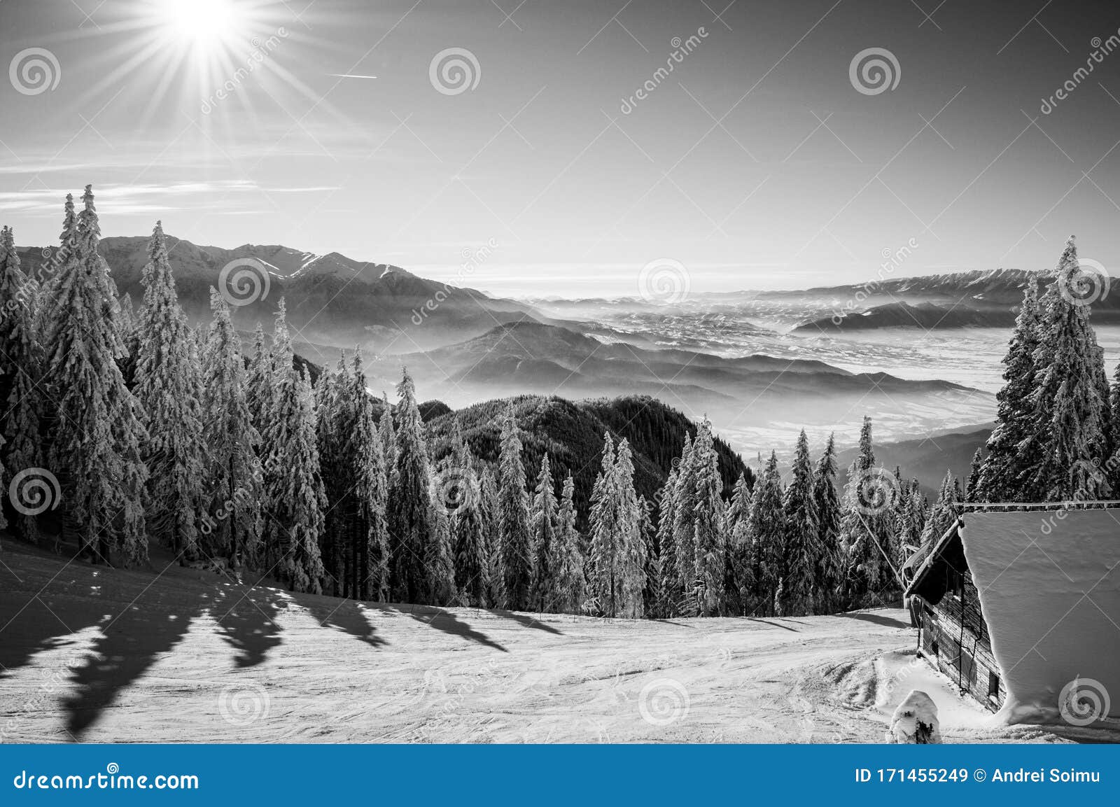 Black and White Winter Scenery Stock Image - Image of winter, forest ...