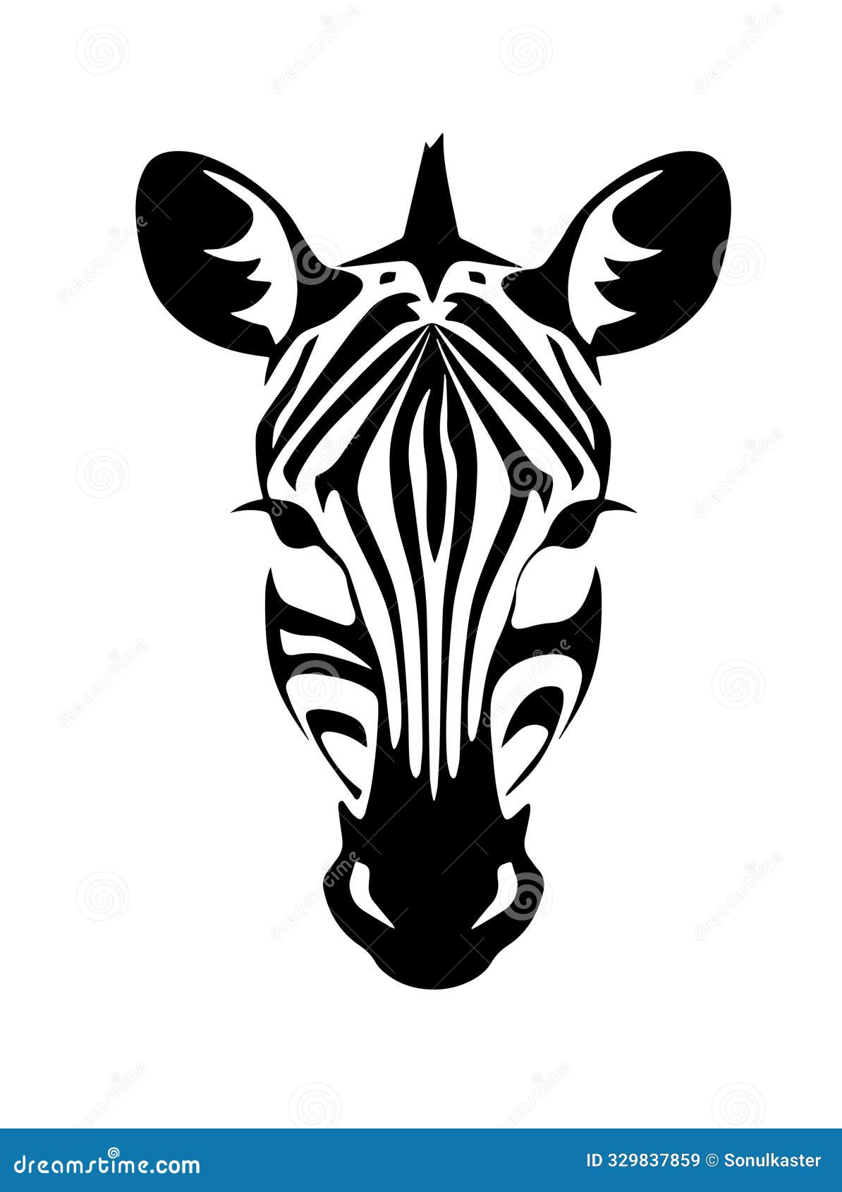 black and white zebra 