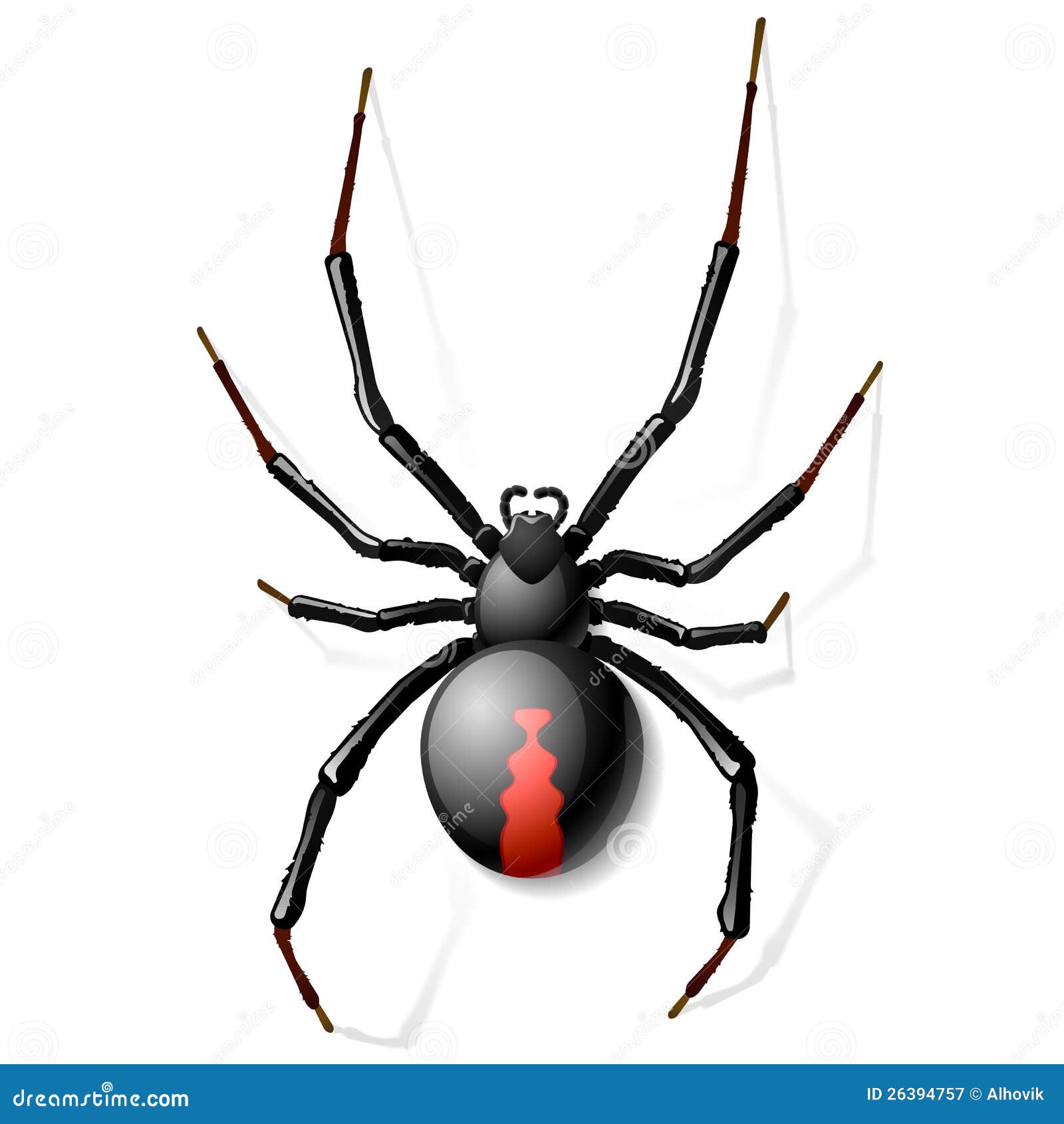 Black Widow Spider Stock Illustrations – 4,229 Black Widow Spider Stock  Illustrations, Vectors & Clipart - Dreamstime