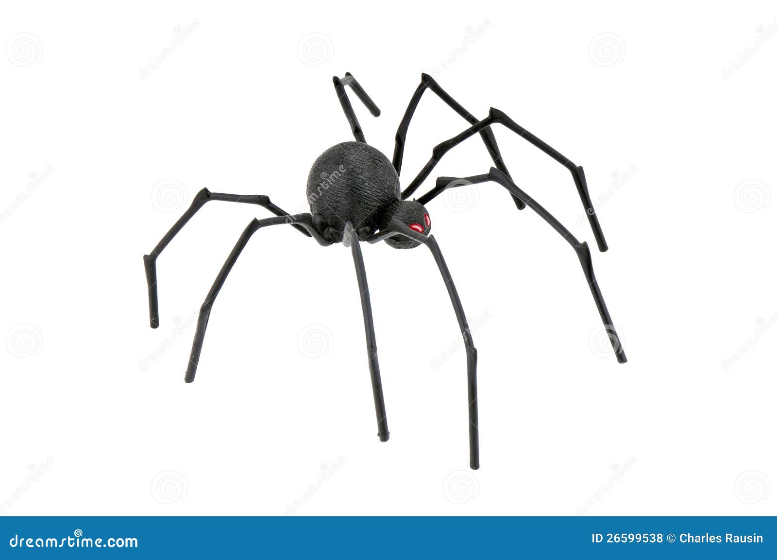 Black Widow Spider Stock Illustrations – 4,229 Black Widow Spider Stock  Illustrations, Vectors & Clipart - Dreamstime