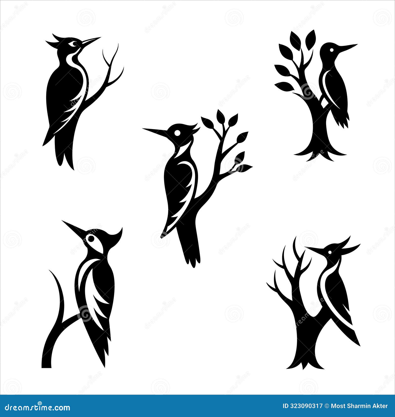 black woodpecker on the tree silhouette  .