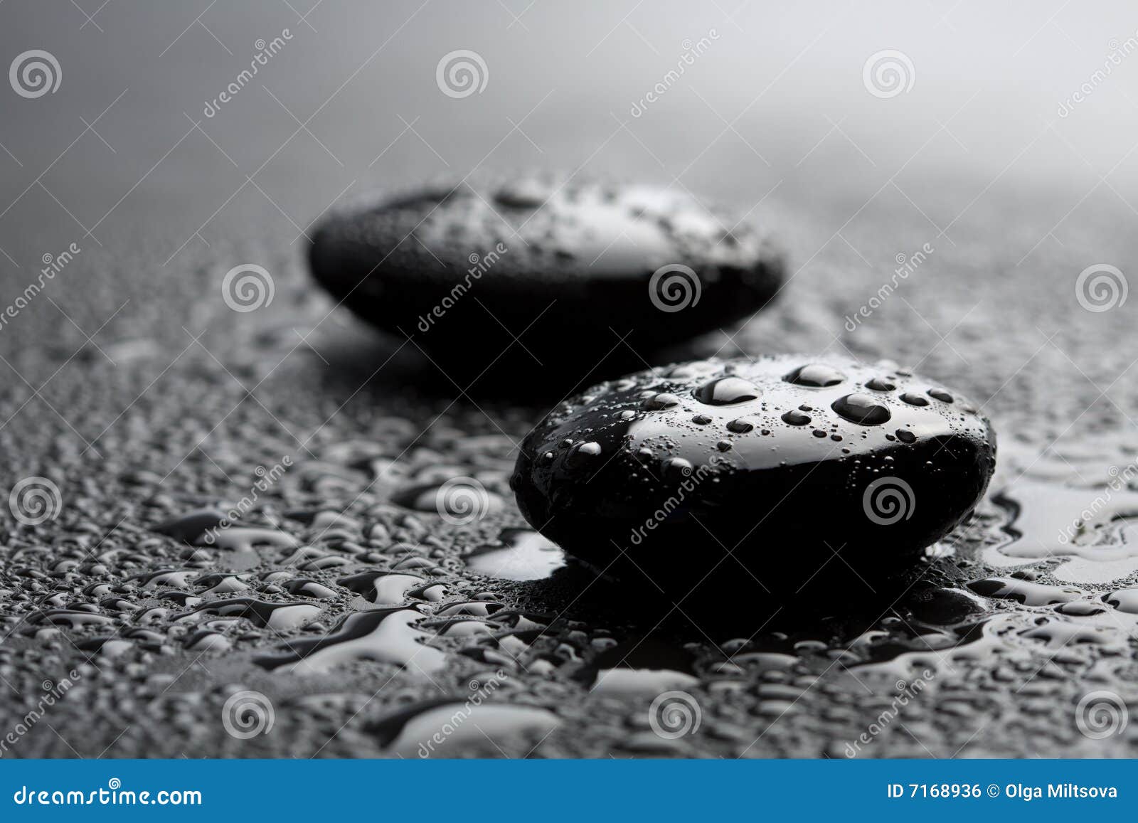 Black Zen Stones with Water Drops Stock Photo Image of body, drop