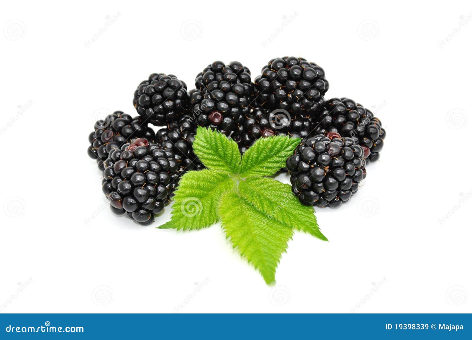 Brambleberry Stock Photos, Royalty Free Brambleberry Images