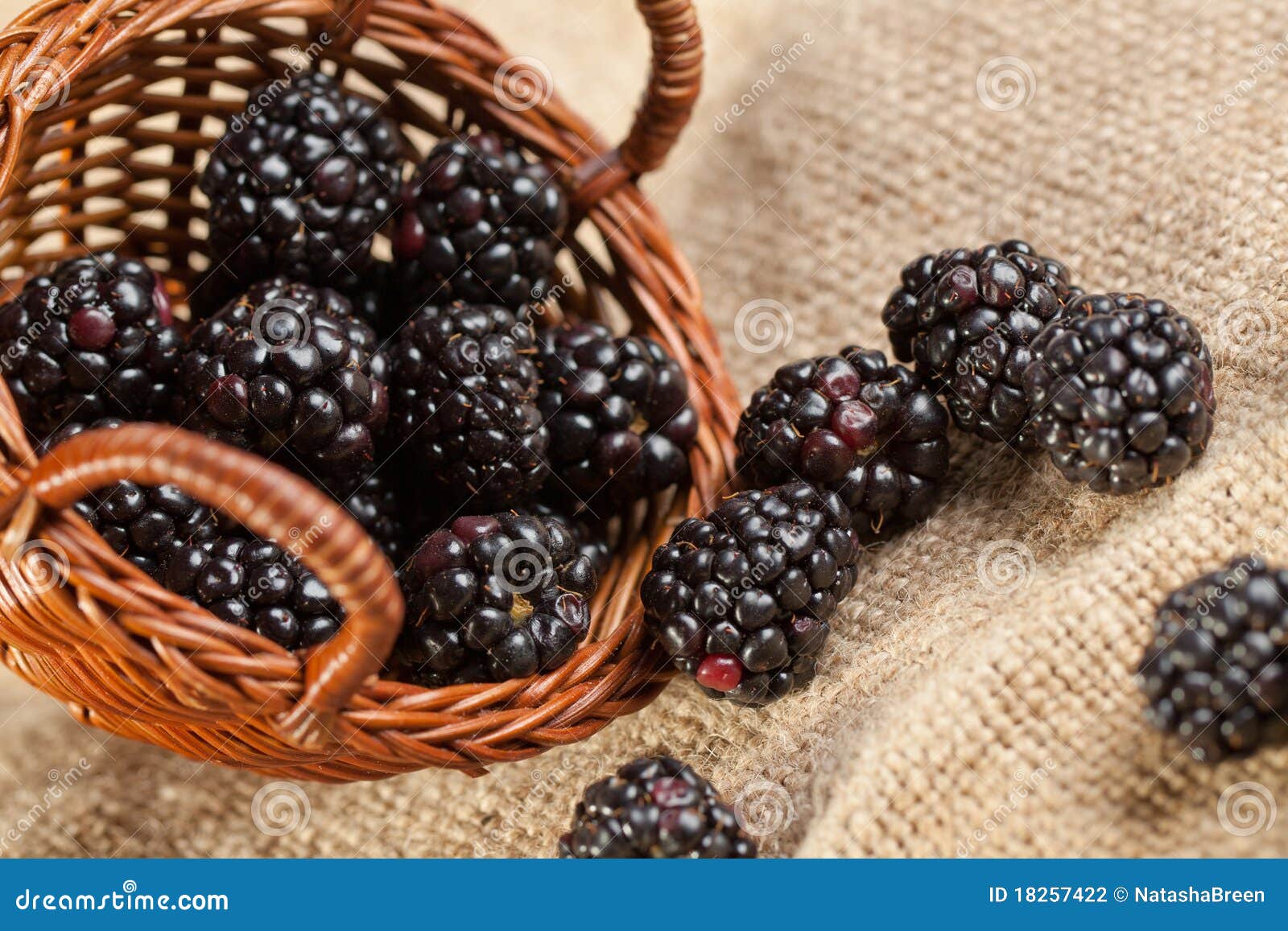 Blackberries from basket stock photo. Image of colorful 18257422
