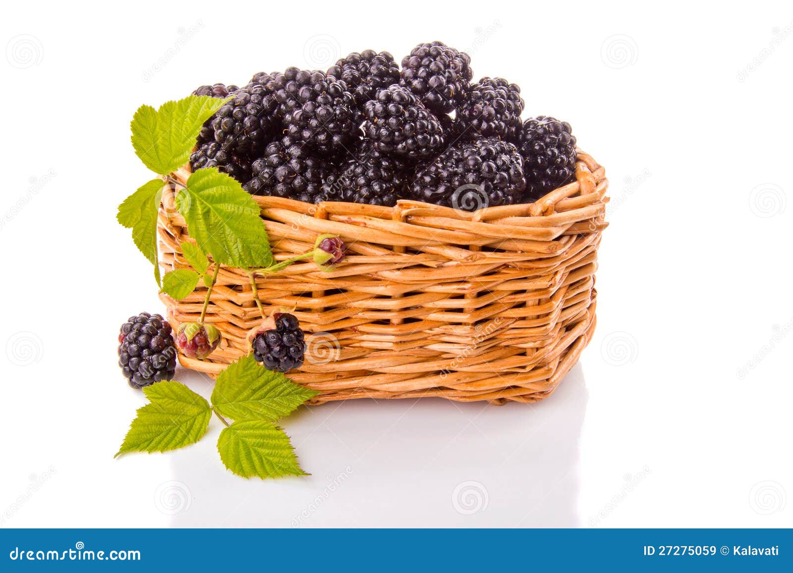 Blackberries in the basket stock image. Image of objects 27275059