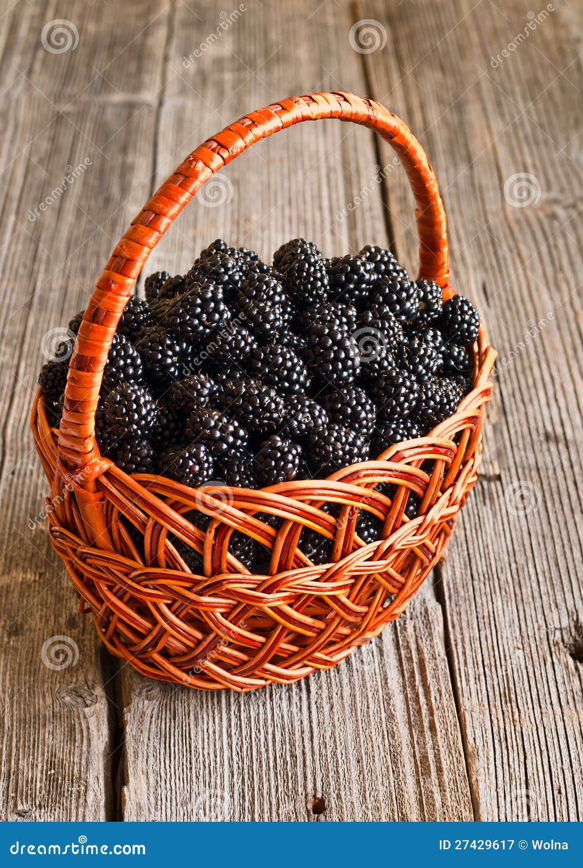 Blackberries in basket stock image. Image of basket, health 27429617