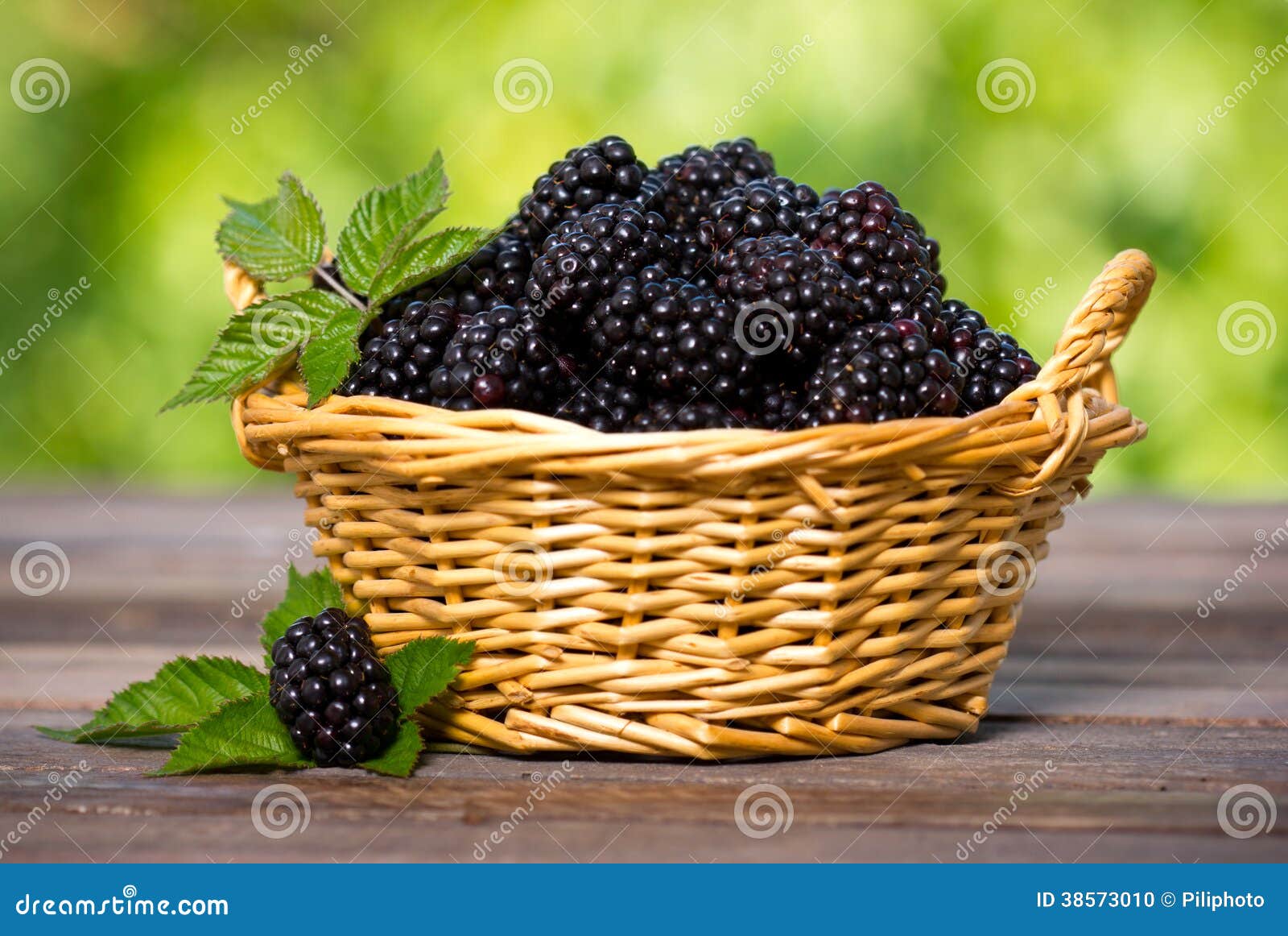 Blackberries in the basket stock photo. Image of snack 38573010
