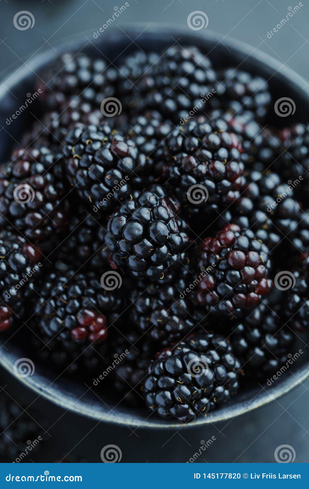 Blackberries in a bowl stock photo. Image of macro, ingredient - 145177820