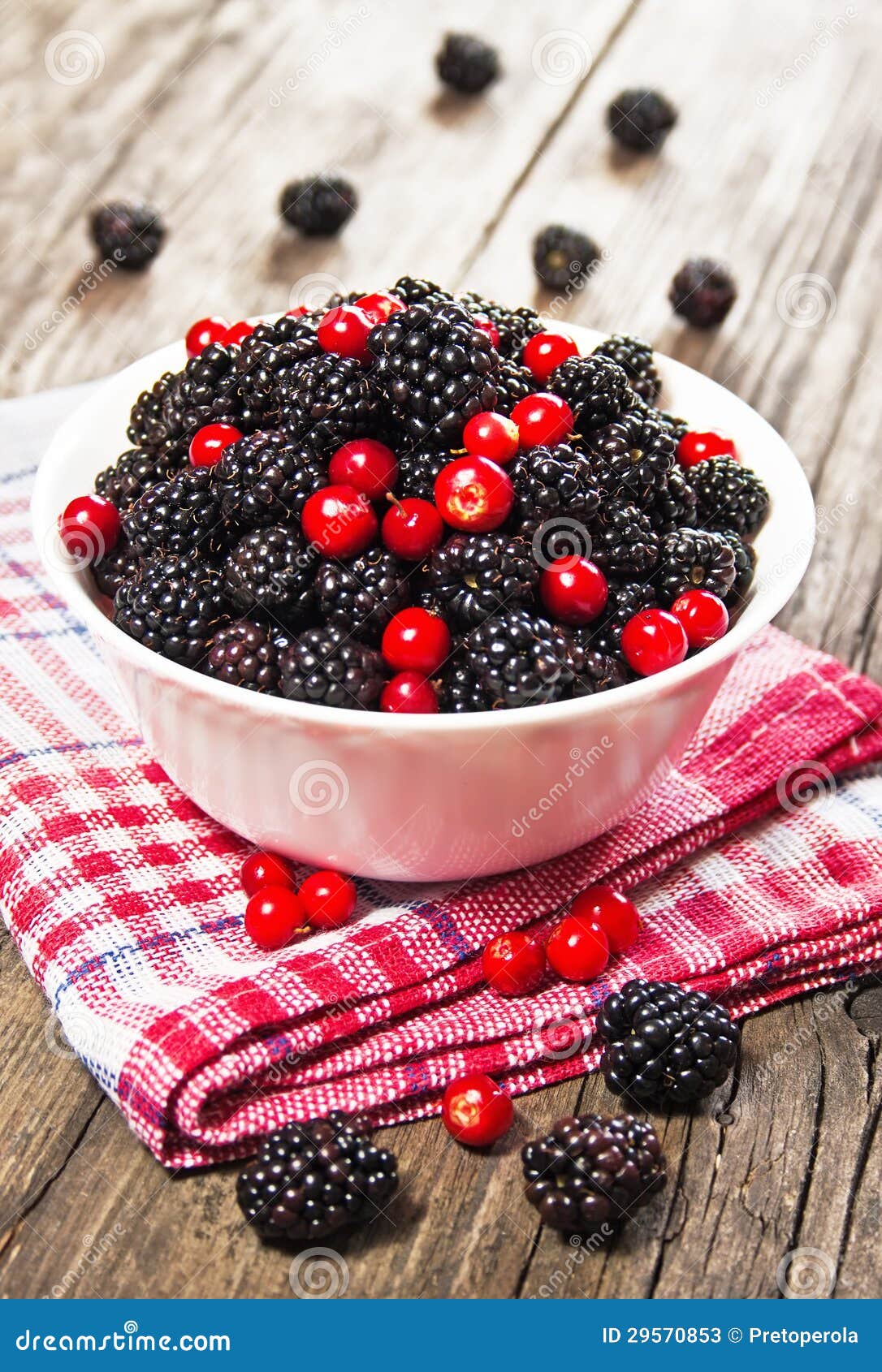 Blackberries and Cranberries in a Bowl Stock Image - Image of bright ...