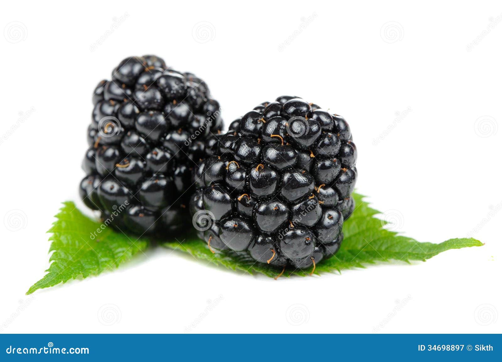 Blackberries With Green Leaves On White Background Stock Image - Image