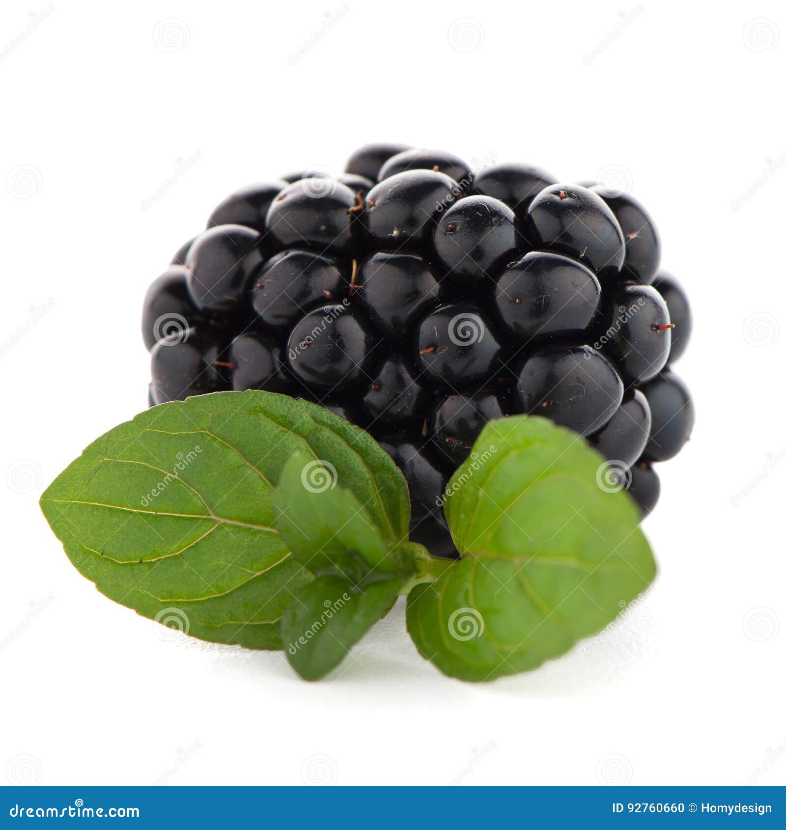Blackberries with leaves stock photo. Image of food, leaf 92760660