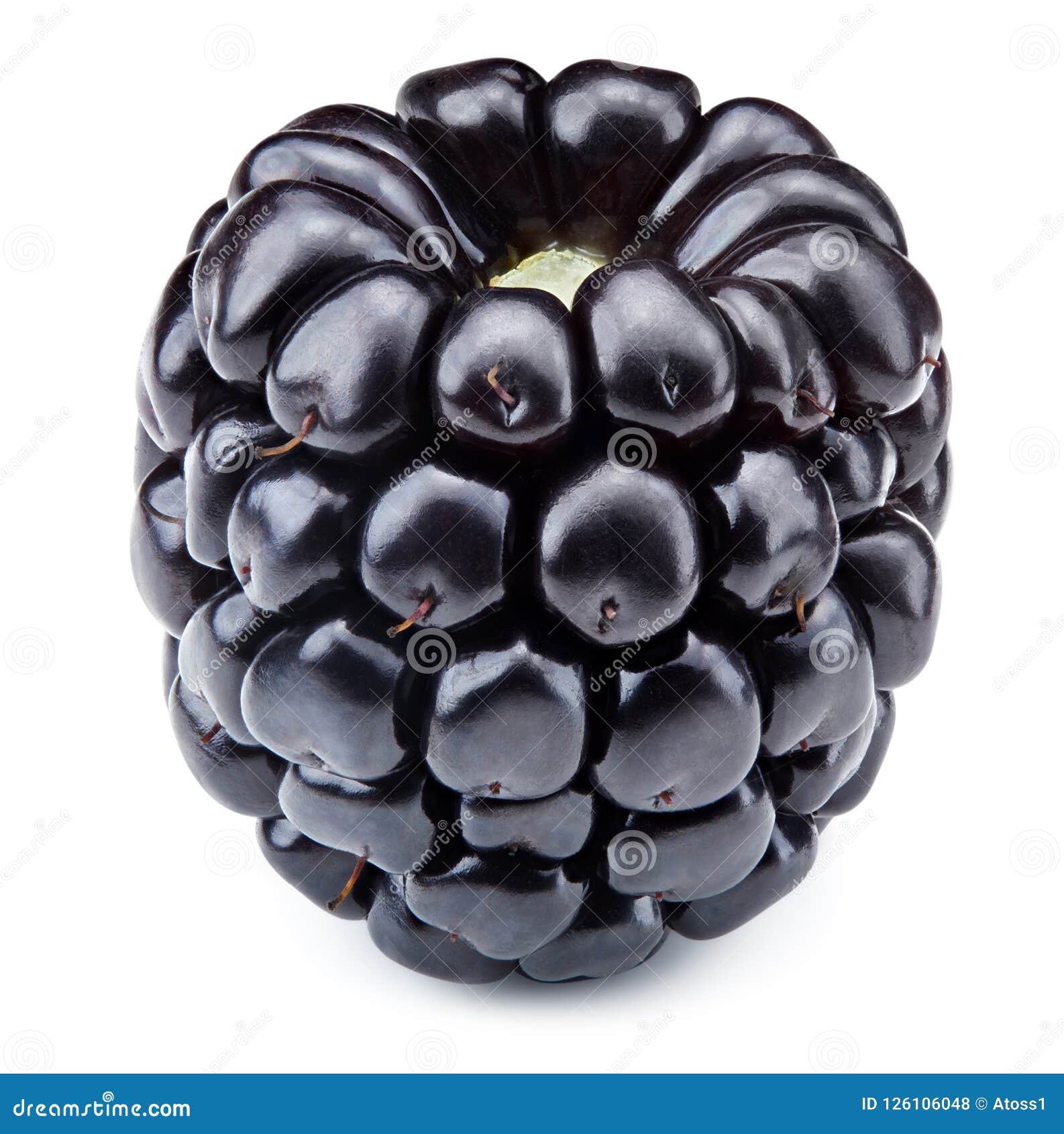 Blackberries on white stock photo. Image of sweet, blackberries 126106048