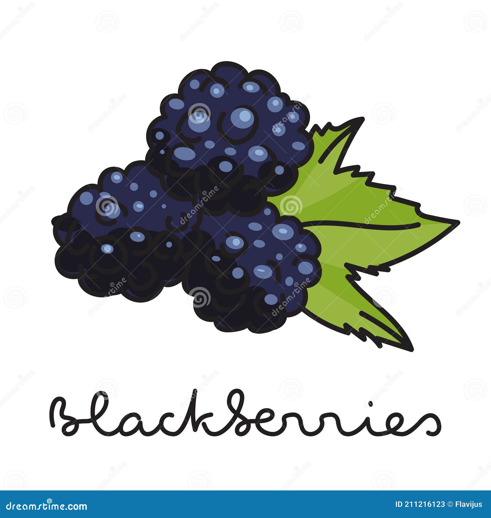Blackberries. Group Of Two Ripe Blackberries With Green Leaves Isolated