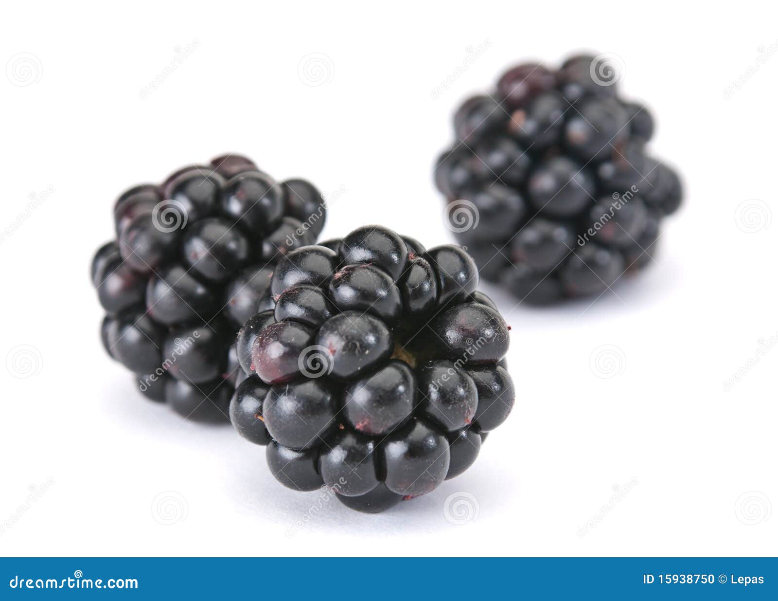 Blackberry berry stock photo. Image of sweet, ripe, white - 15938750