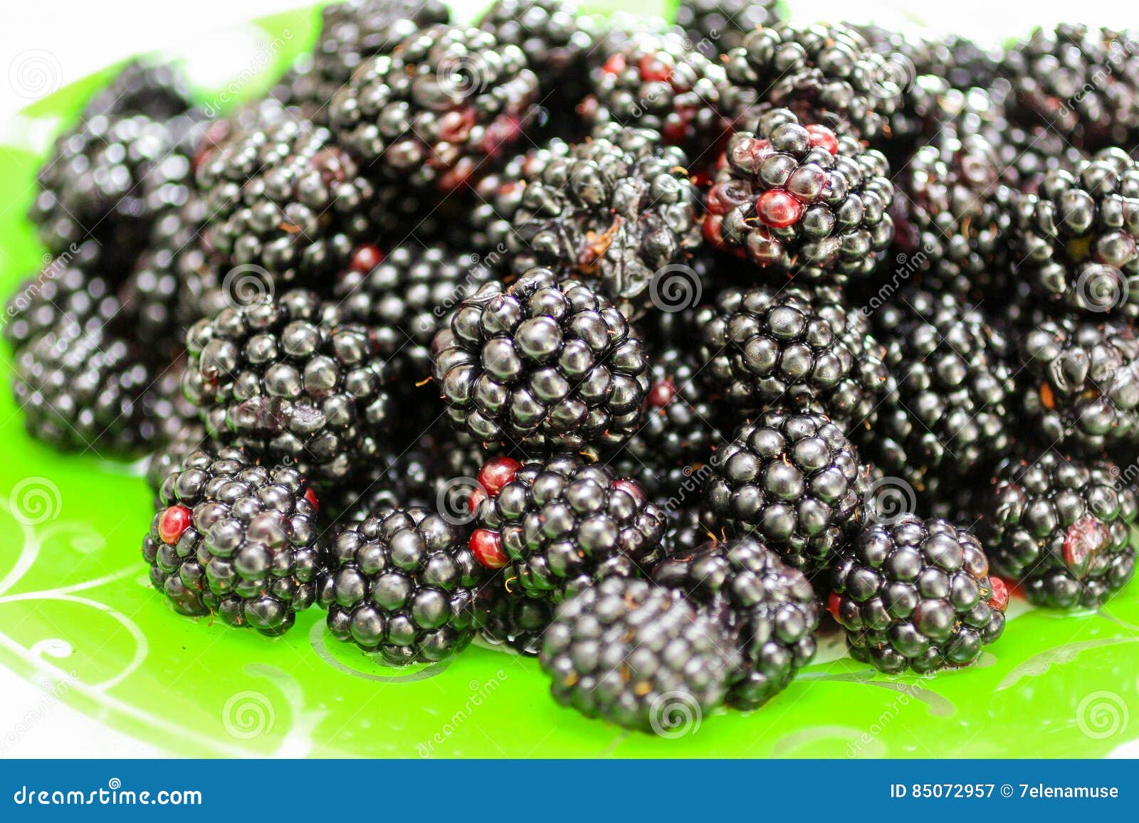 Blackberry stock image. Image of green, uncooked, blackberry 85072957