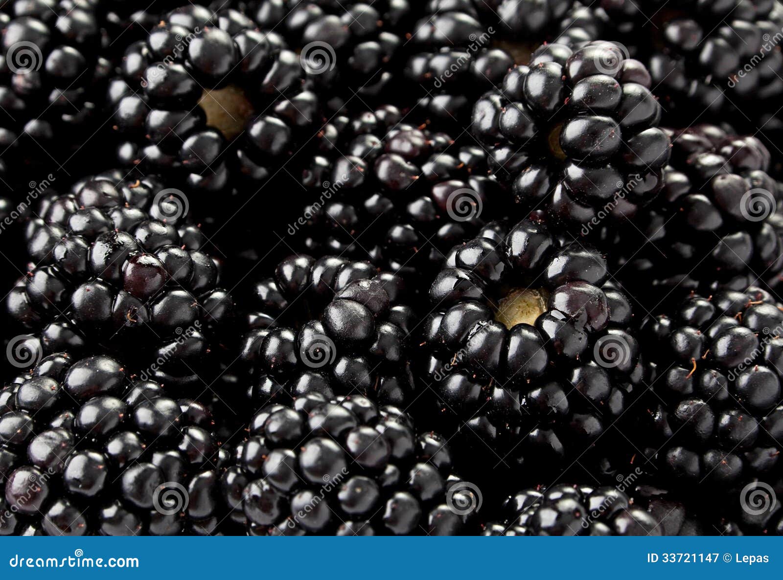 Blackberry Fruit Background Stock Image Image of refreshment, black