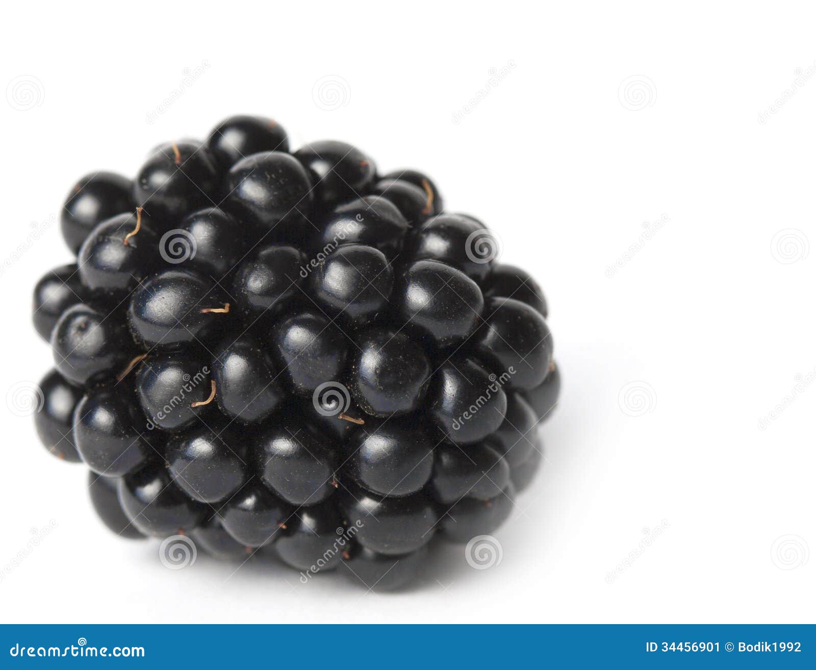 Blackberry - fruit stock image. Image of sweet, fruit - 34456901