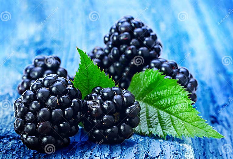 Blackberry fruit with leaf stock image. Image of healthy 37842469