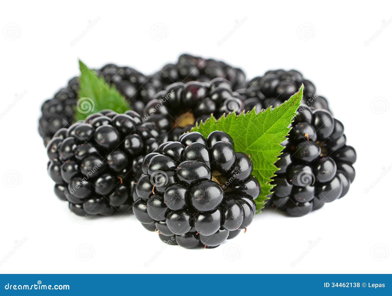 Blackberry fruit stock photo. Image of berry, leaves 34462138