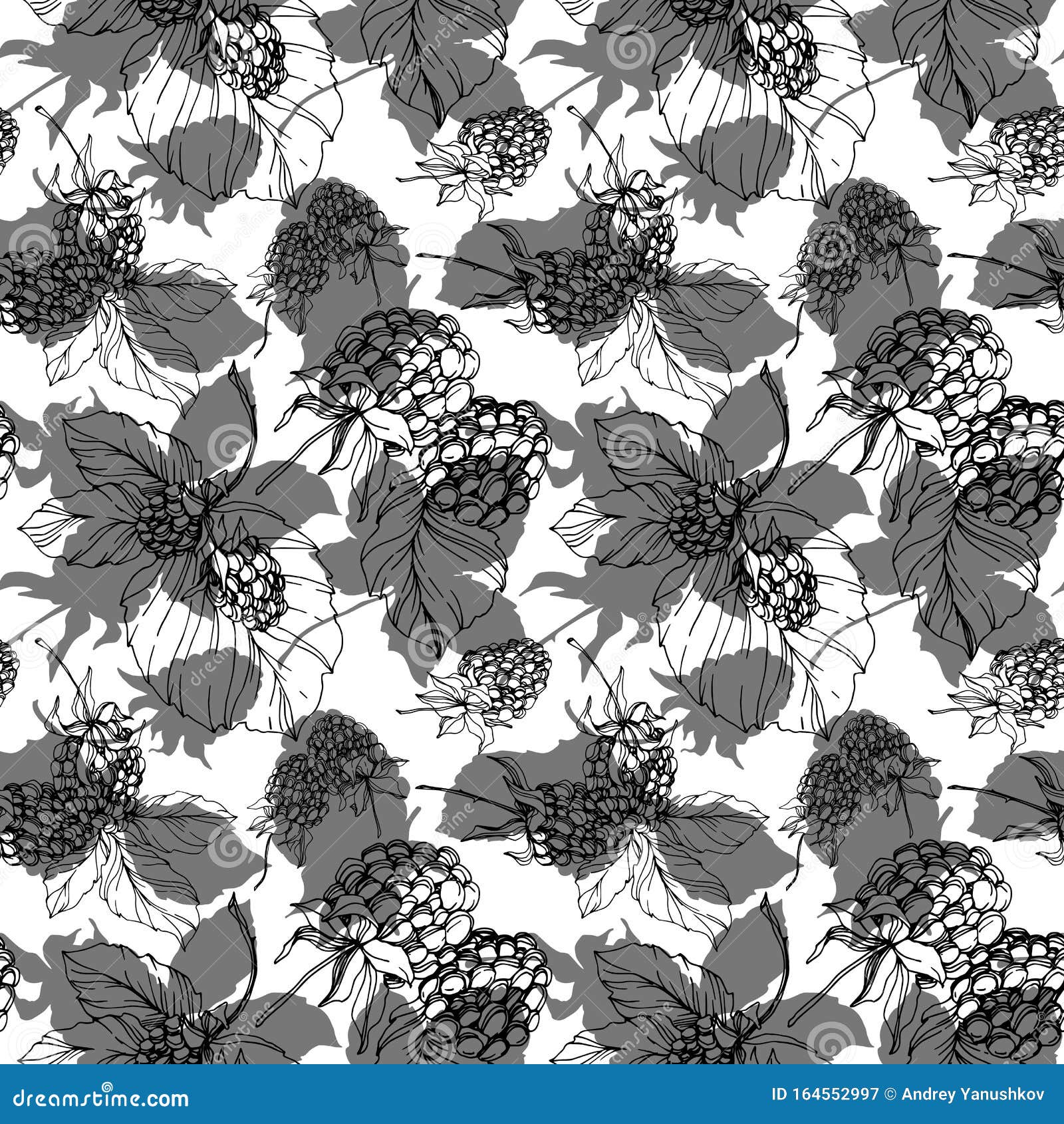 Blackberry Gesundes Essen Schwarz Weiss Tintenkunst Nahtloses Hintergrundmuster Textur Des Tapeten Vektor Abbildung Illustration Von Hand Tinte 164552997