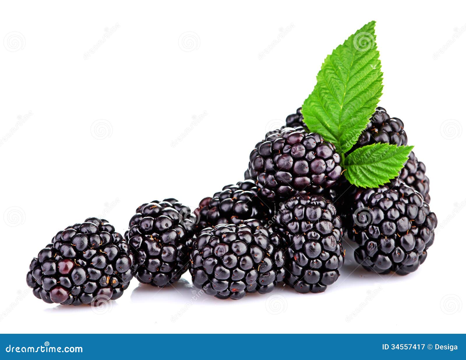 blackberry  on white