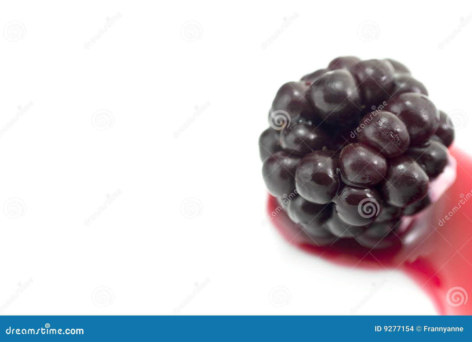 Blackberry in Natural Juice Isolated Stock Photo Image of white