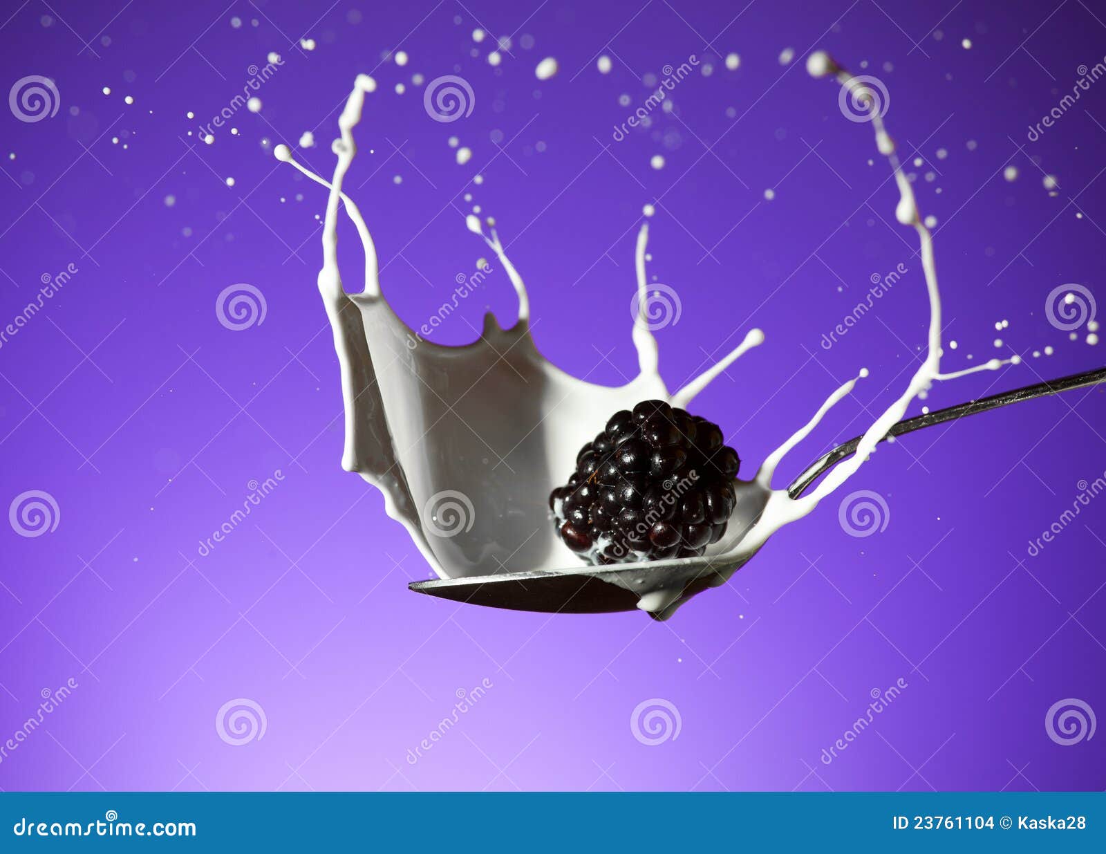blackberry splash