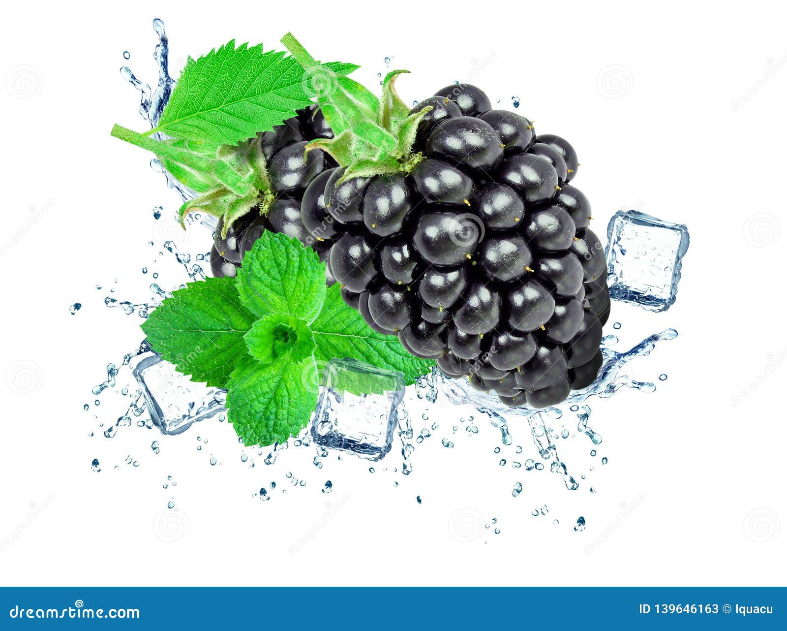 Blackberry splash water stock image. Image of blackberries - 139646163