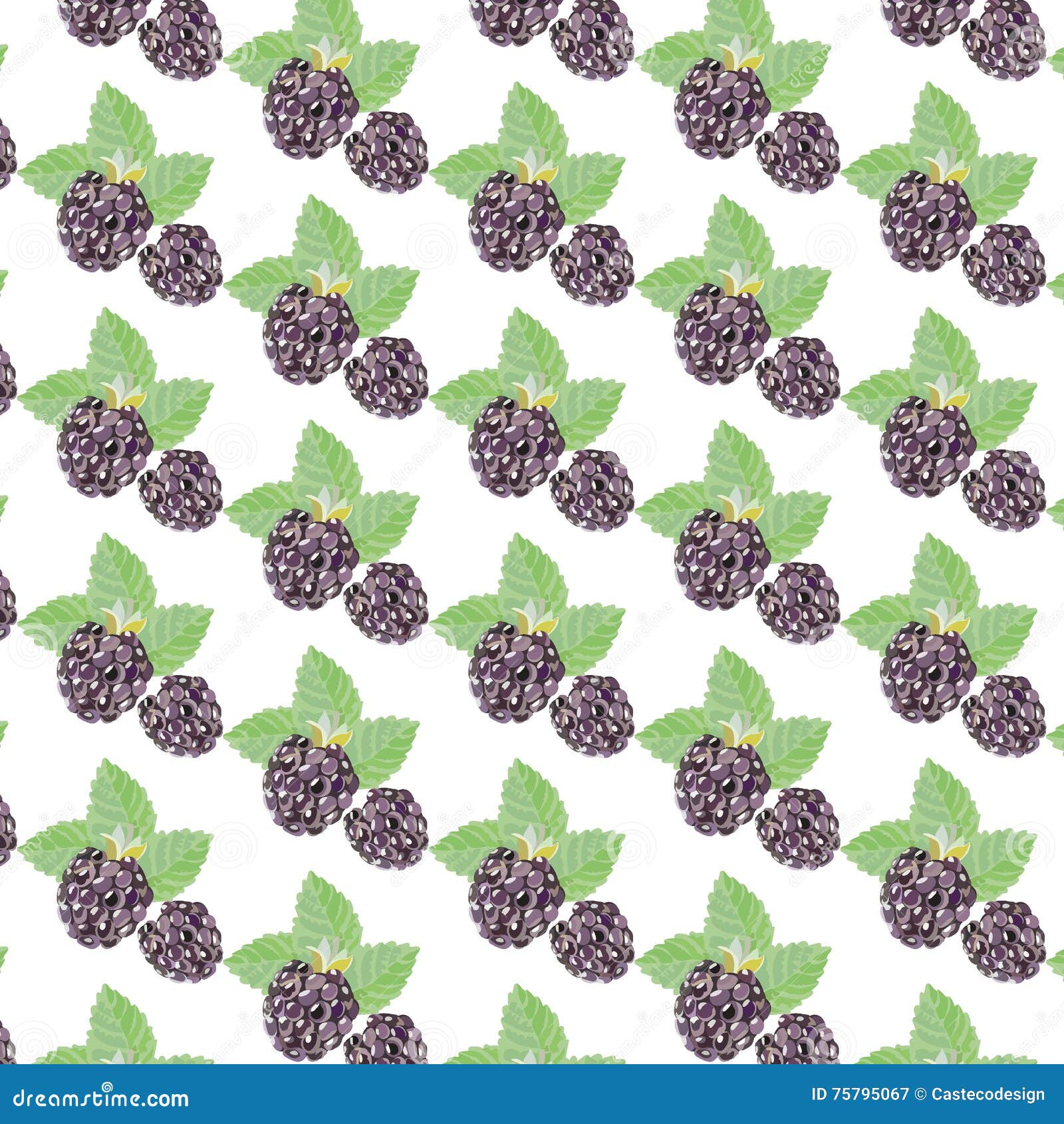 Blackberry Vintage pattern stock vector. Illustration of painting