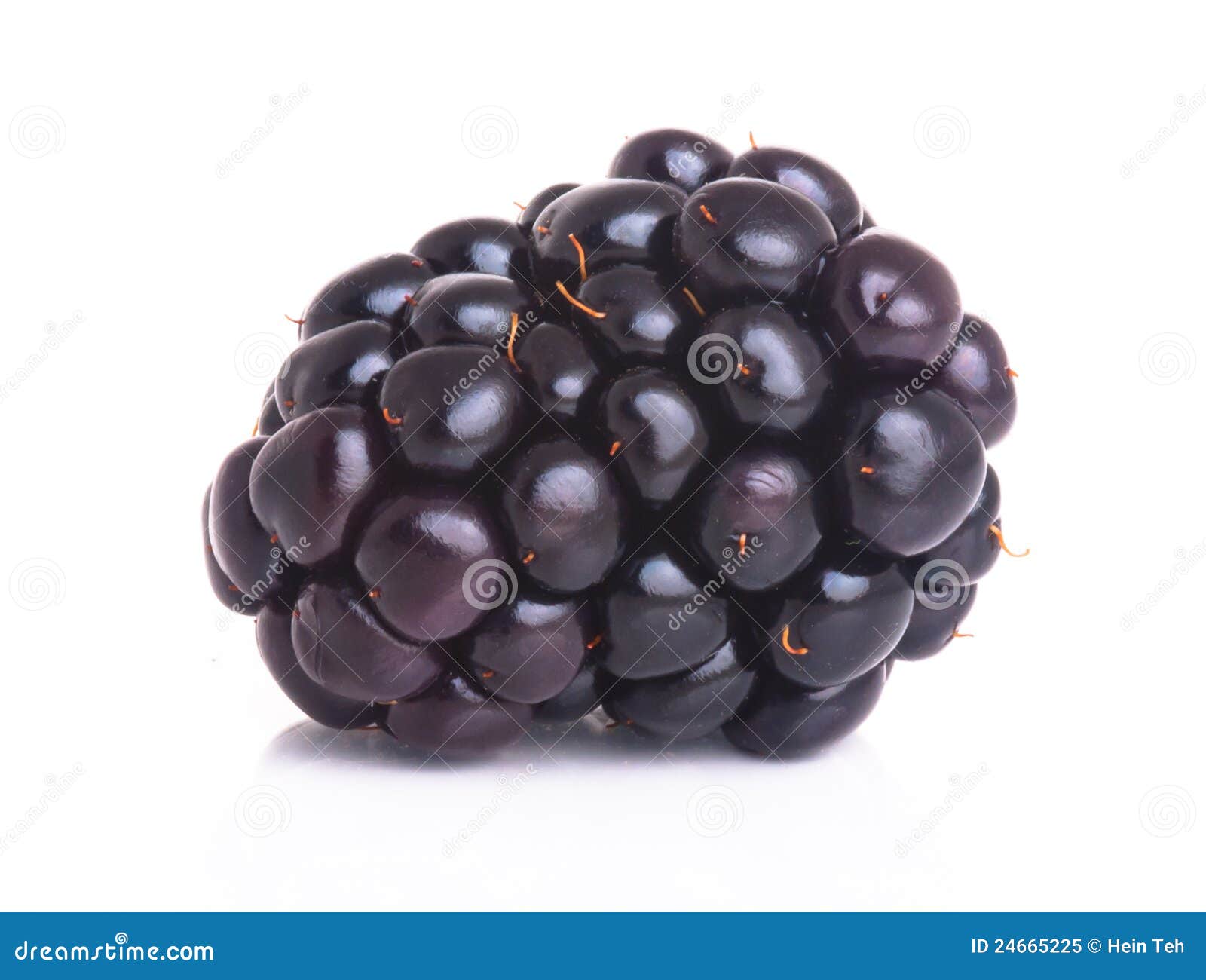 A Blackberry on the White Background Stock Image - Image of delicious ...