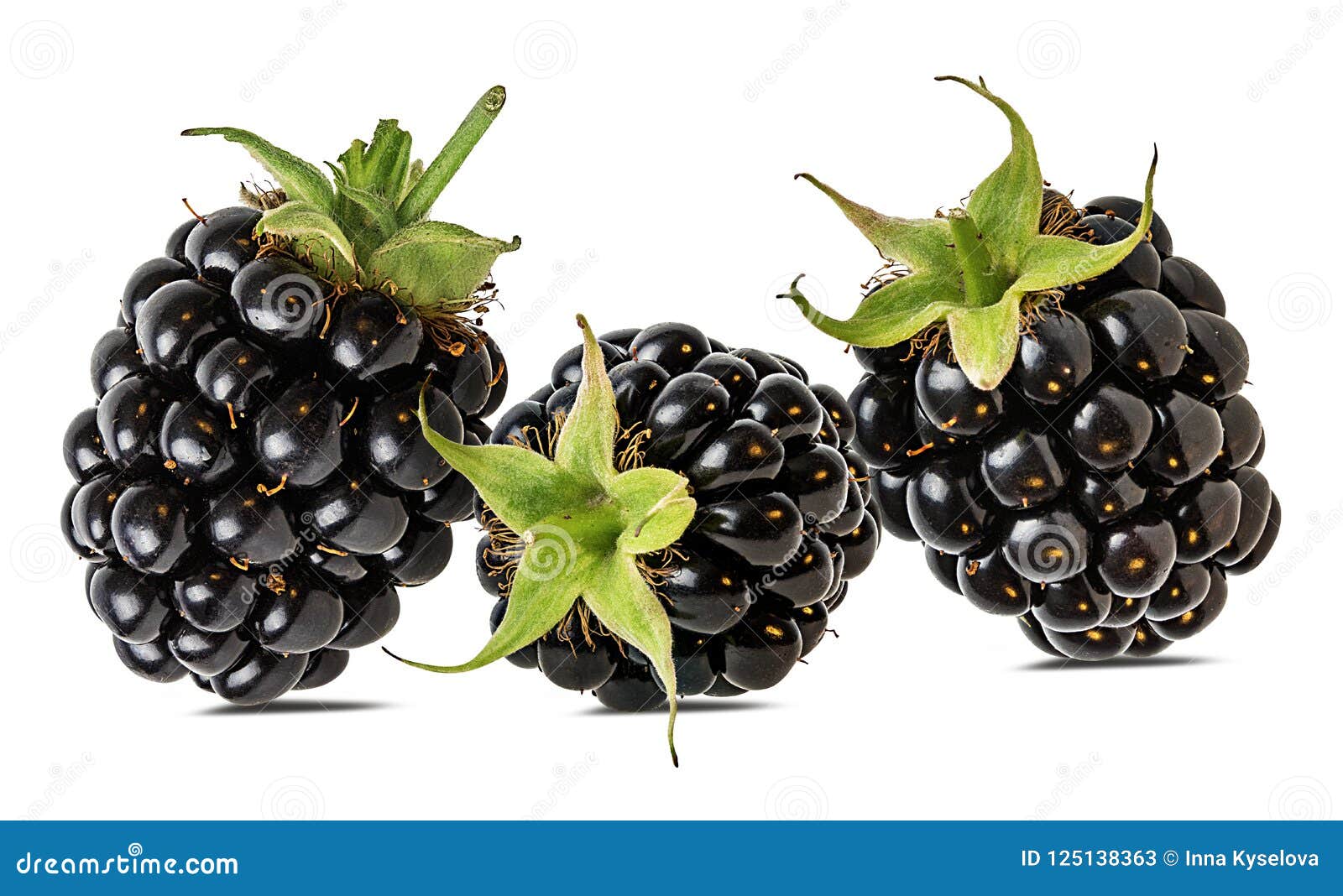105,640 Blackberry Background Stock Photos Free & RoyaltyFree Stock
