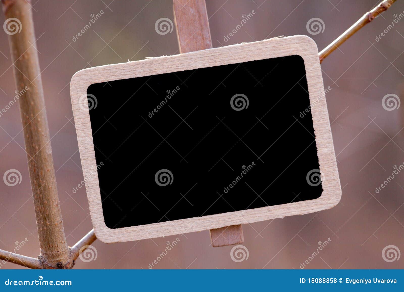Blackboard Attached To Tree Branch in the Forest Stock Photo Image of