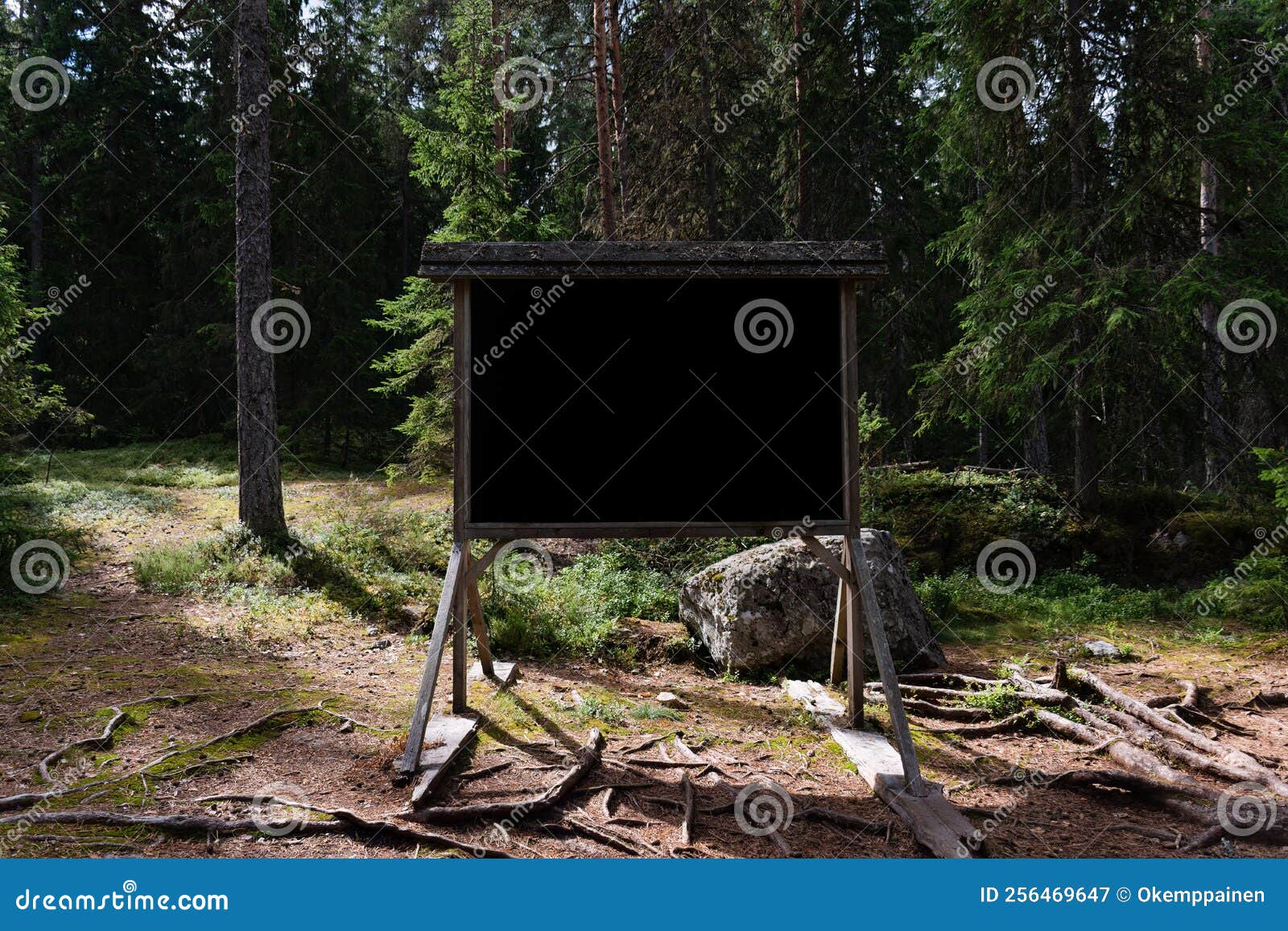 Blackboard in a Pine Forest in Summer Stock Image Image of space